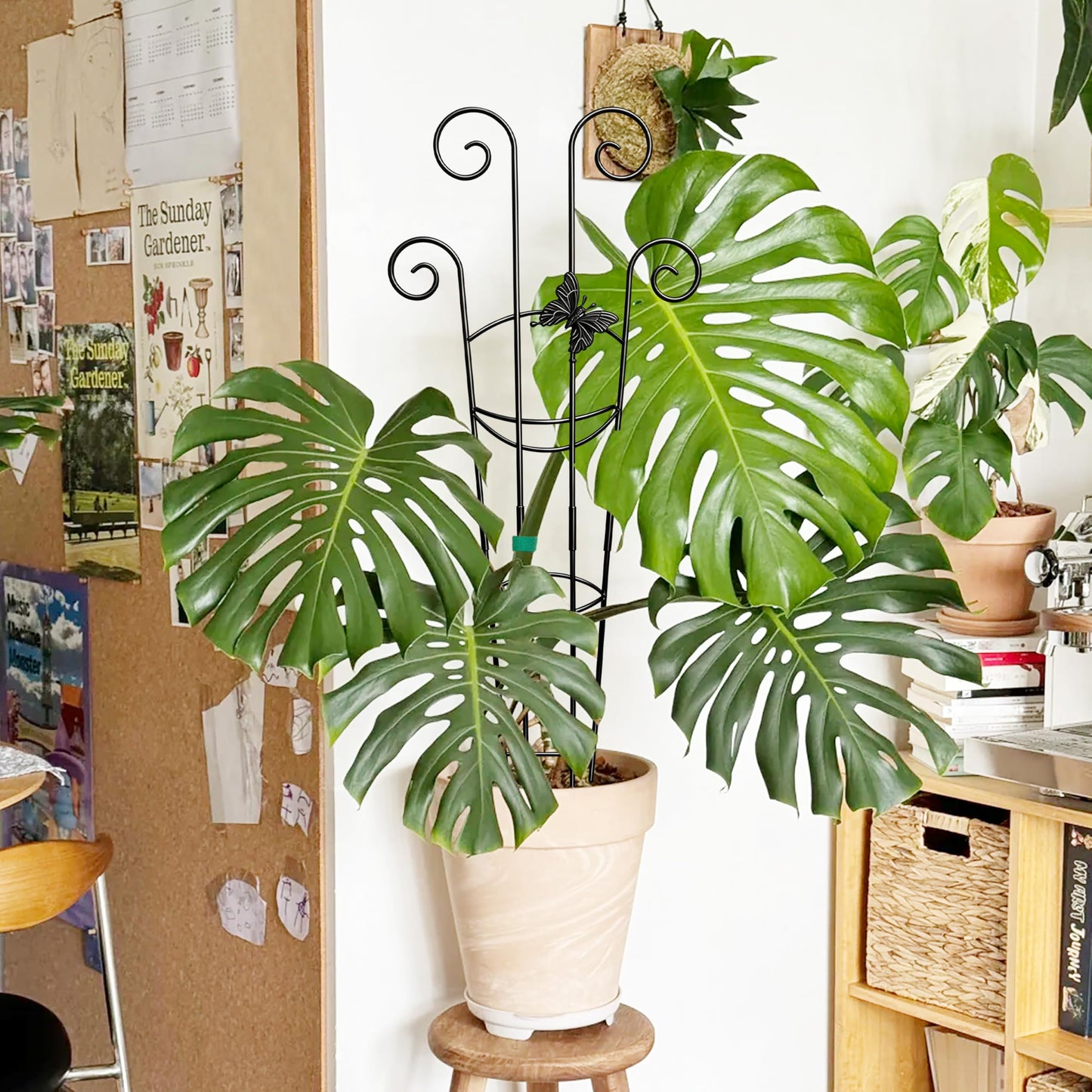 Coomin 32.6in Monstera Plant Support for Indoor Plants, 4P Trellis for Climbing Plants Indoor, Plant Climber Stakes for Potted Plants