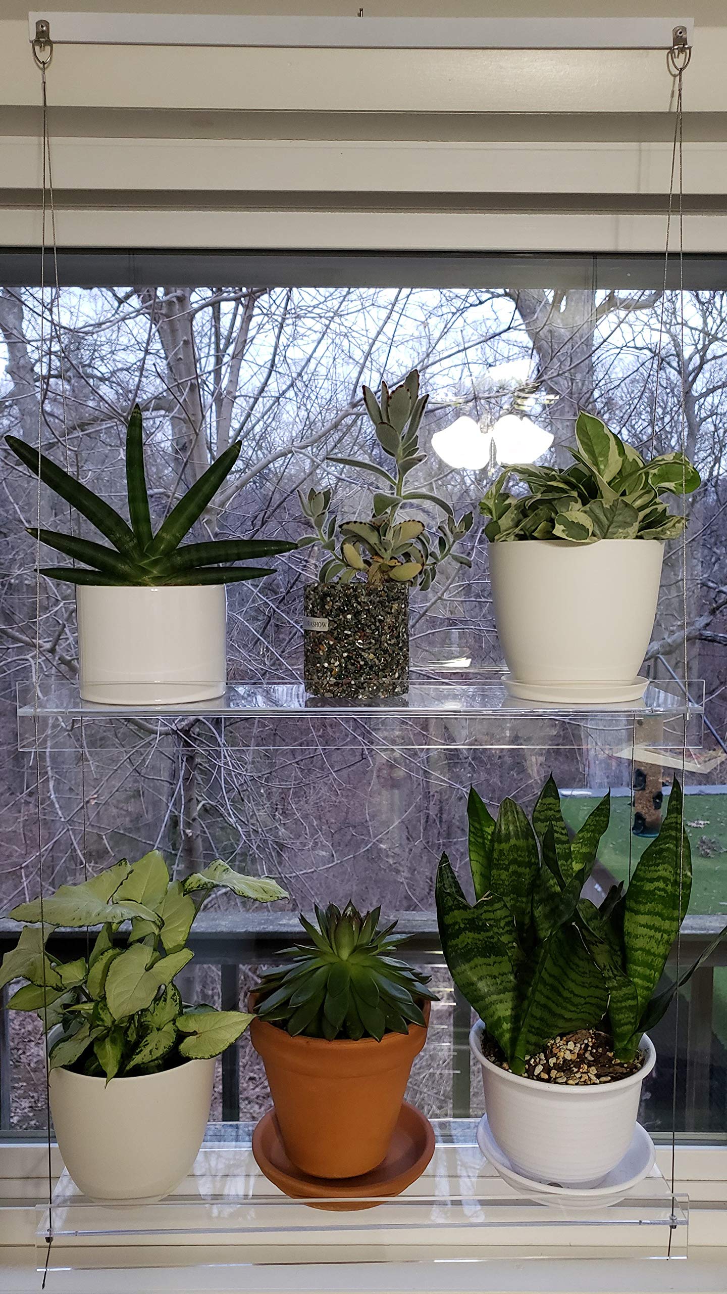 SUPREMETECH Hanging Acrylic Shelves for Windows (28" Wide, 3 Shelves - 46" Tall)