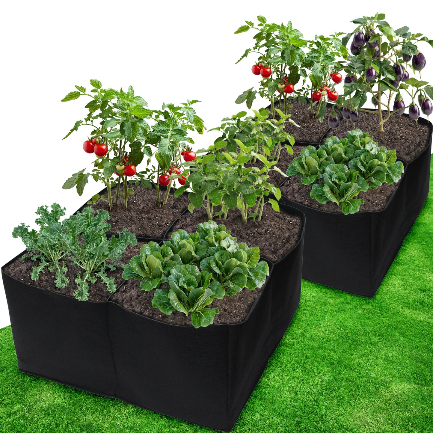 Gardzen 2 Pack Fabric Raised Garden Beds, 2x2x1 FT – 4 Grids Grow Bed for Square Foot Gardening, Planting Box for Vegetables, Herbs, Flowers