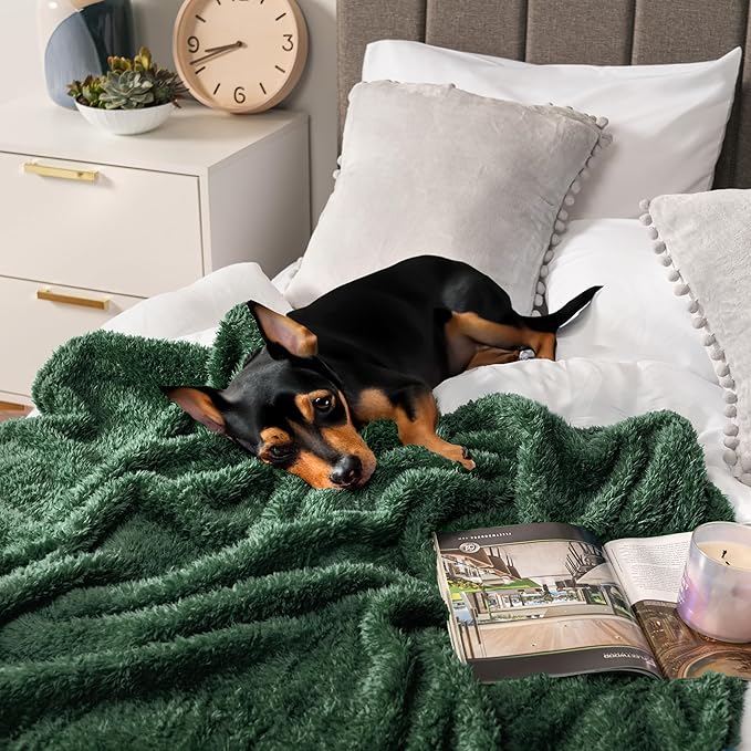 PAVILIA Sherpa Throw Blanket for Couch Sofa, Emerald Green Fluffy Warm Plush Blanket for Bed, Cozy Super Soft Lightweight Throw, Fuzzy Decorative Blanket, All Season Home, 50x60