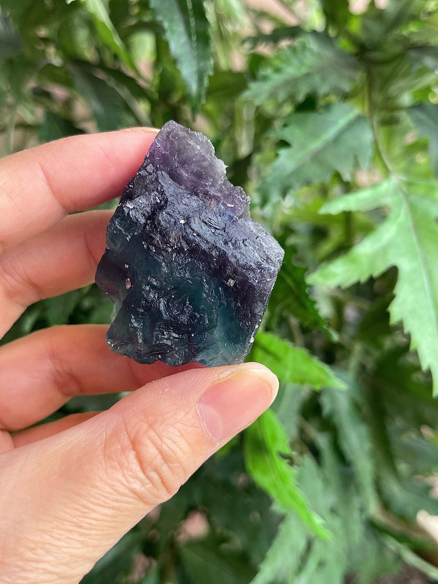 GAF TREASURES Wholesale Raw Rainbow Fluorite Crystals, Natural Rainbow Fluorite Stone, Natural Rough Rainbow Fluorite Crystals, Rainbow Fluorite Healing Crystals (Rainbow Fluorite, 0.5 Pound)