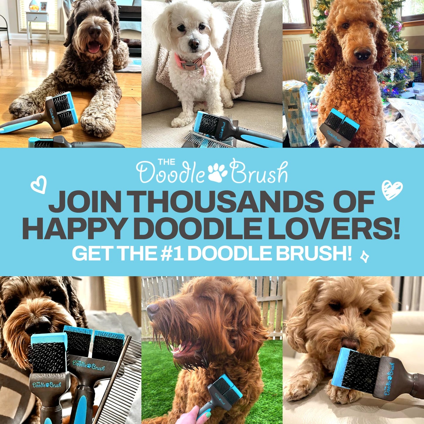 The Doodle Brush - Slicker Dog Brush Bundle for Cockapoo, Goldendoodle & Poodle - Single & Double Head Grooming Brush for Long-Haired Dogs - Detangler & Grooming Tool