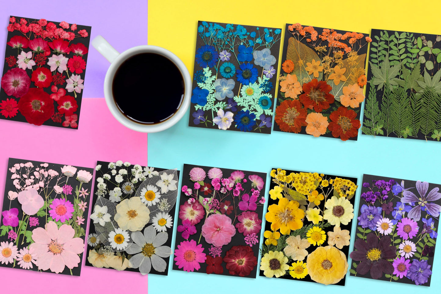 TrendCart 285Pcs 9 Packs Mixed Types Real Natural Dried Pressed Flowers & Leaves for Resin Molds, DIY Crafts, Jewelry Making + 100Pcs Butterfly Stickers + Tweezers