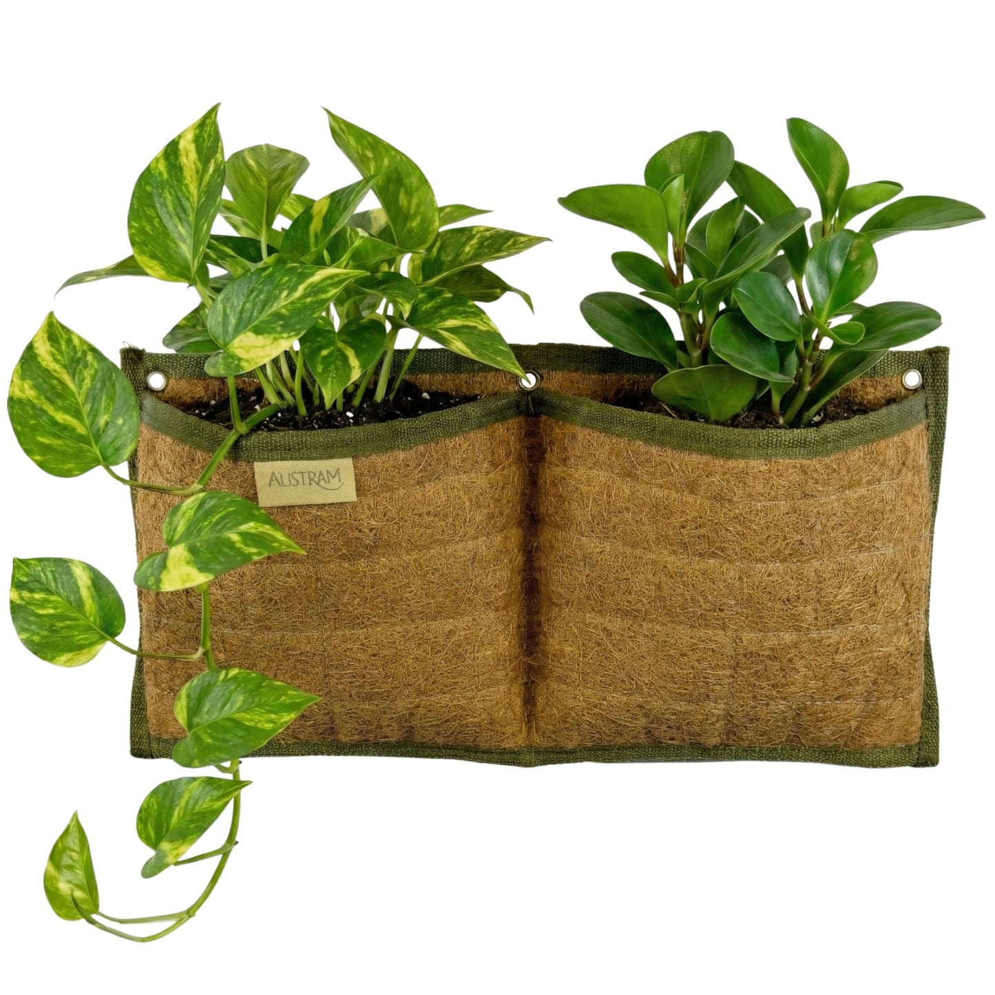 Austram Wall Hanging Planter, 2 Pocket, Hanging herb Planter, wall Mounted Plant Holder, Vertical herb Garden, Plant Hanger Indoor, Boho Kitchen Decor, Porch and Balcony Decor, Fence planters