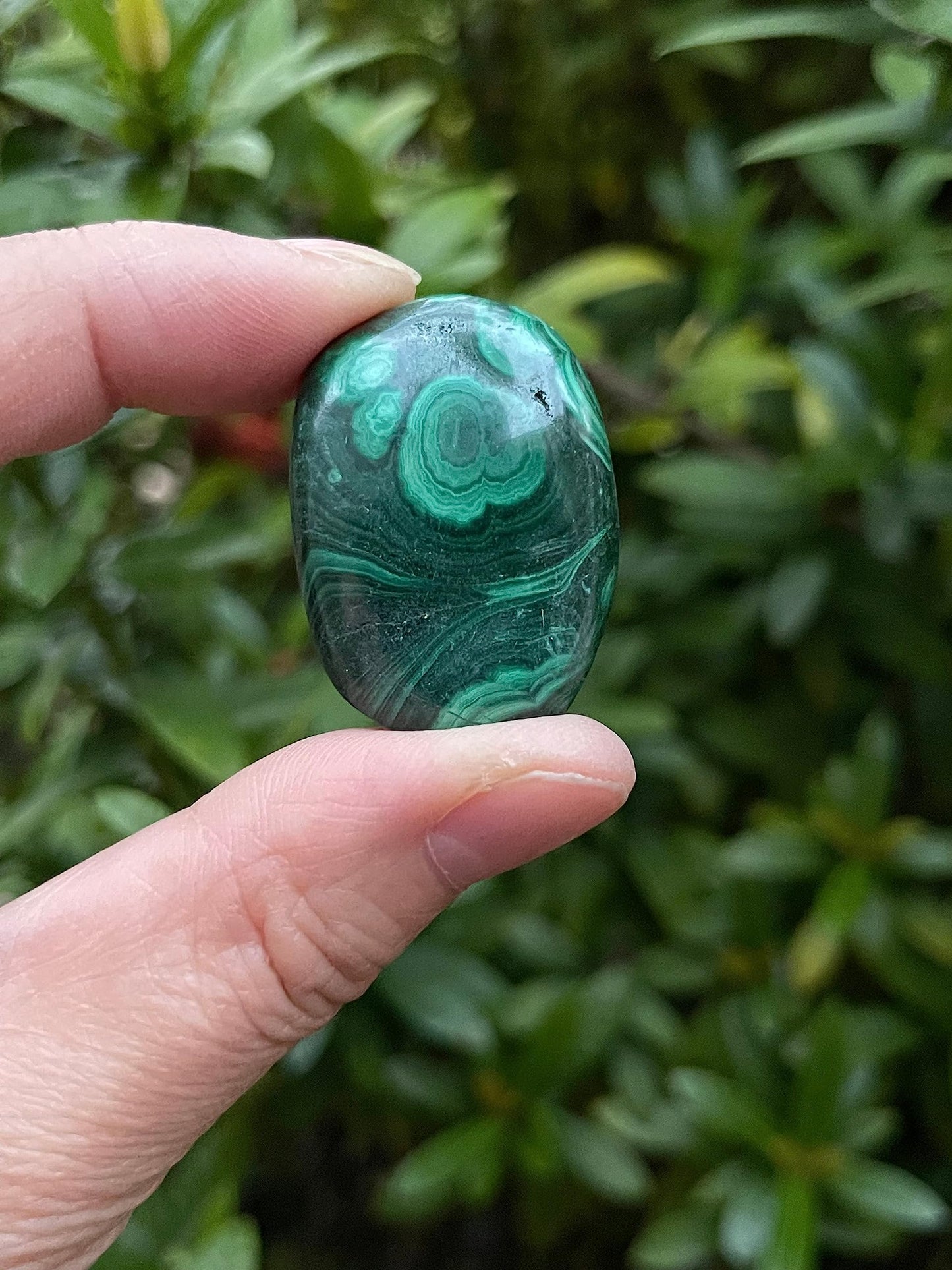 GAF TREASURES 5 Pcs Malachite Tumbled Stones, Polished Natural Malachite Gemstone, Malachite Healing Crystals (Malachite)