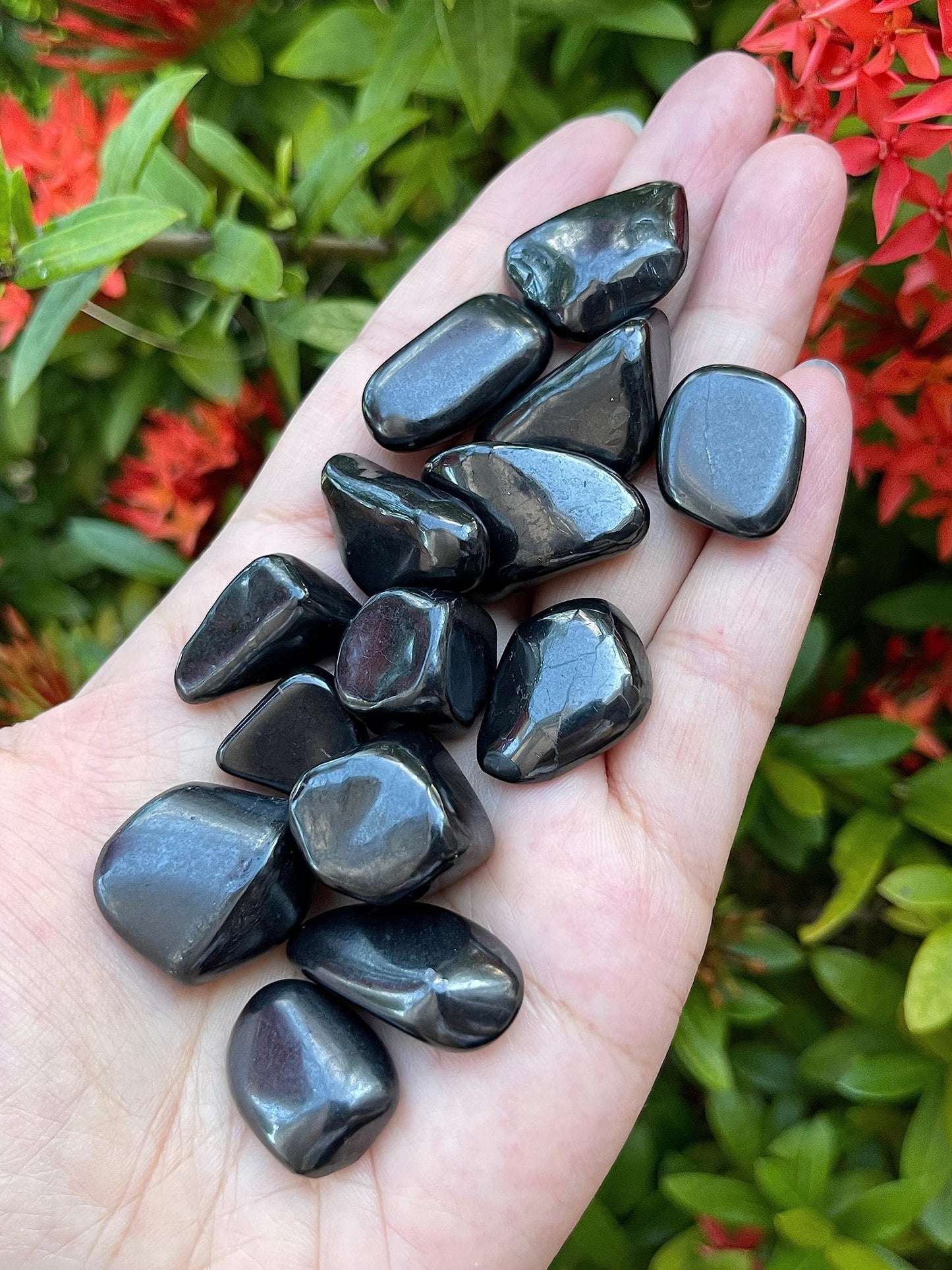GAF TREASURES 5 Pcs Shungite Tumbled Stones, Polished Natural Shungite Gemstone, Shungite Healing Crystals (Shungite)