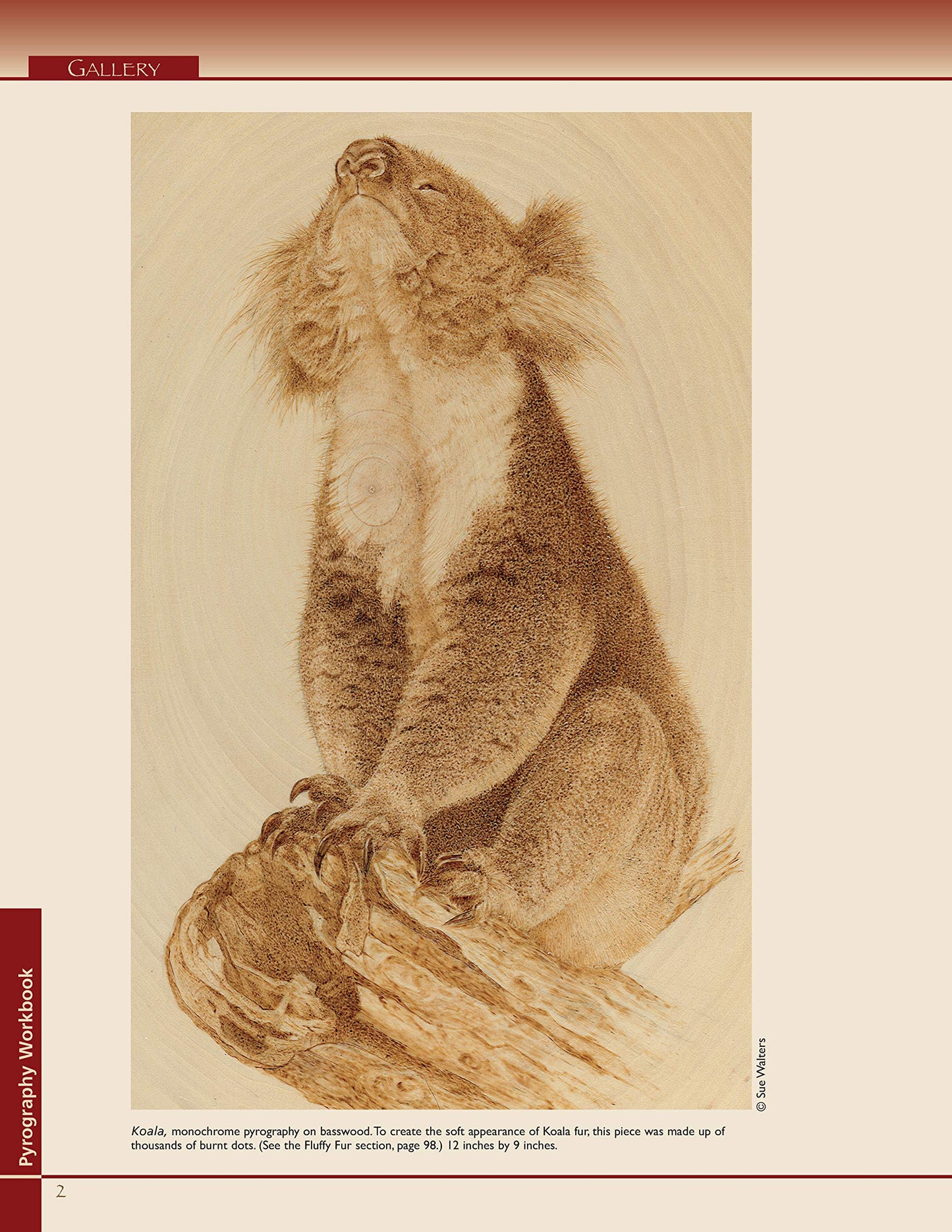 Pyrography Workbook: A Complete Guide to the Art of Woodburning (Fox Chapel Publishing) Step-by-Step Projects and Patterns with Texture, Shading, and Color Techniques for Woodburners