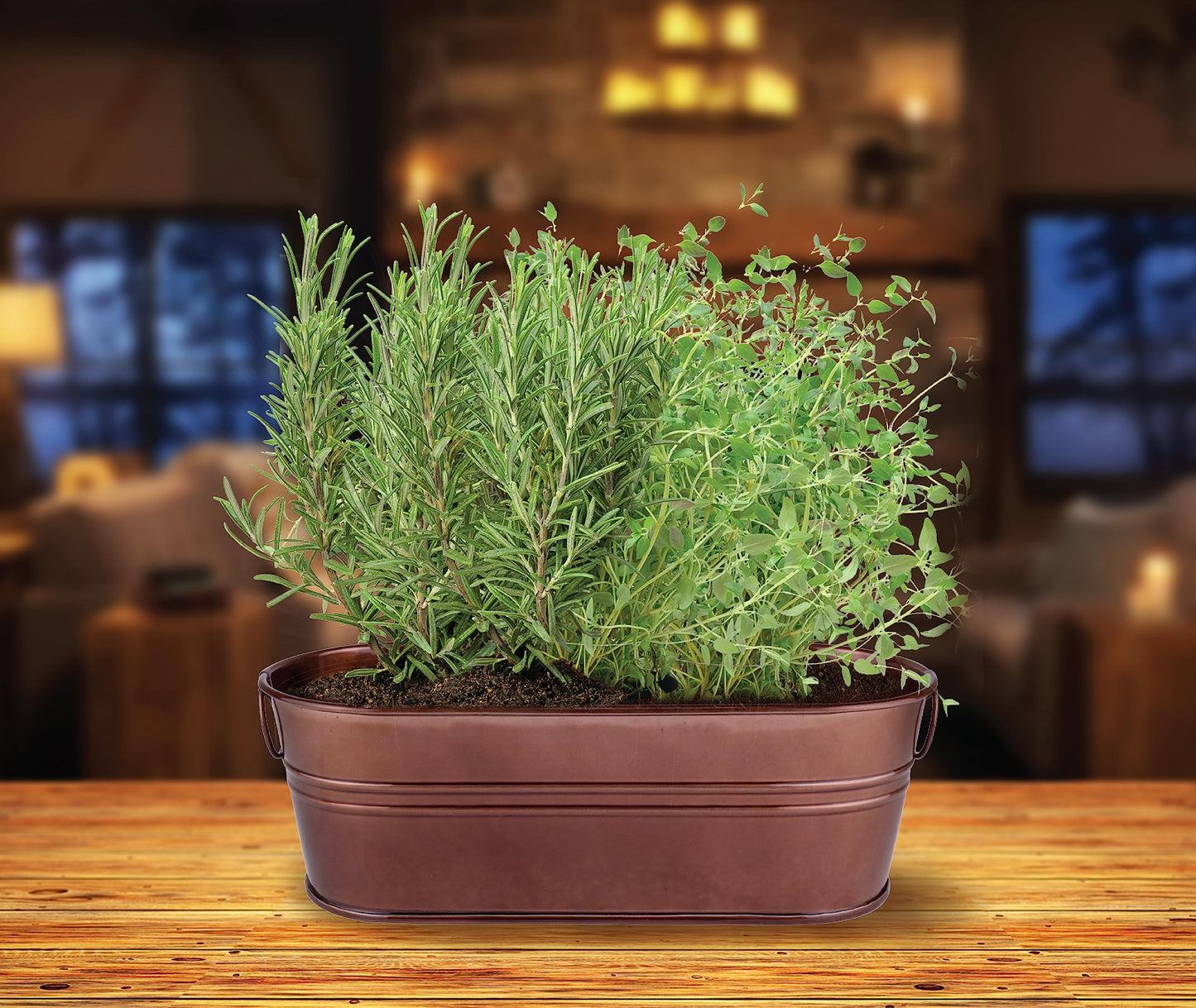 BUZZY Seeds Indoor Herb Garden Kit | Grow Rosemary and Thyme with Non-GMO Seeds | DIY Windowsill Planter Starter Set for Kitchen Countertop, Indoor Gardening, Holiday Gift, Home Decor