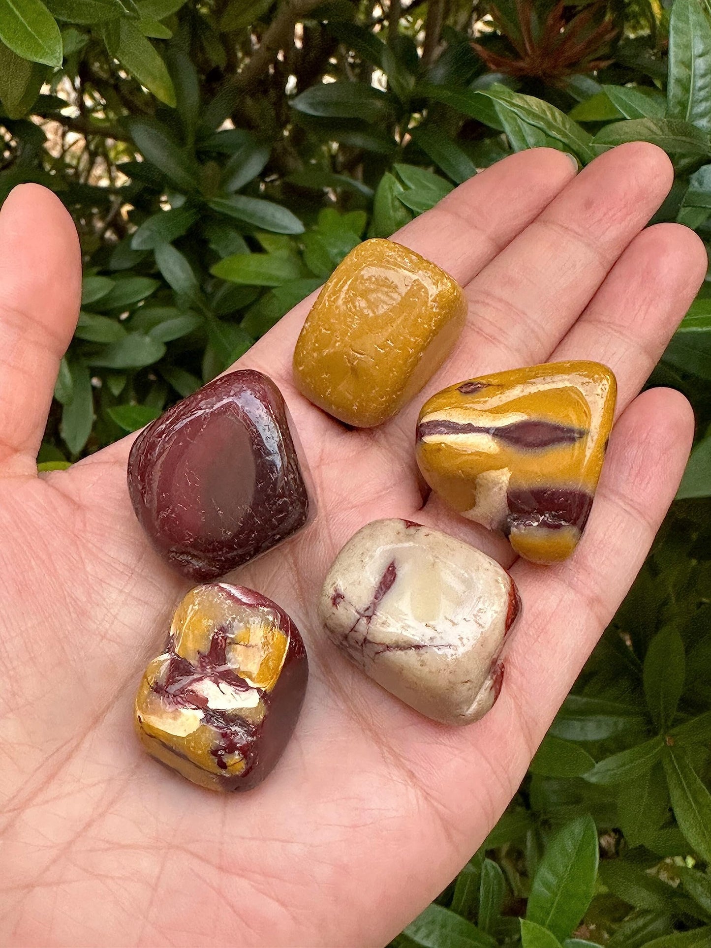 GAF TREASURES 5 Pcs Mookaite Tumbled Stones, Polished Mookaite Gemstone, Mookaite Healing Crystals (Mookaite)