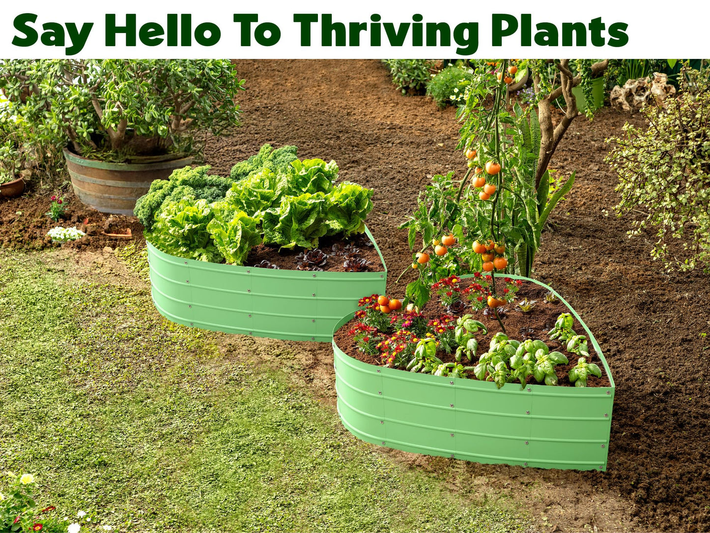 Plant & Plot Galvanized Raised Garden Beds Outdoor // Planter Raised Beds for Gardening, Vegetables, Flowers // Large Metal Garden Box (Light Green) // Tool-Free Assembly