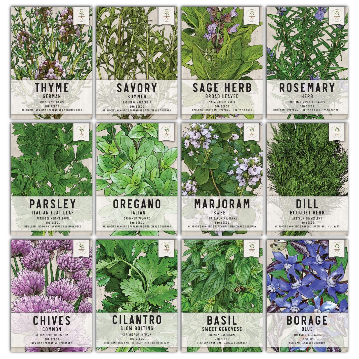 Seed Needs, Culinary Herb Seed Packet Collection Seed Starting Bundle (Includes 12 Individual Seed Packets, 36 Starter Pots & 1 Expandable Coco Coir Brick) Heirloom, Non-GMO, Untreated