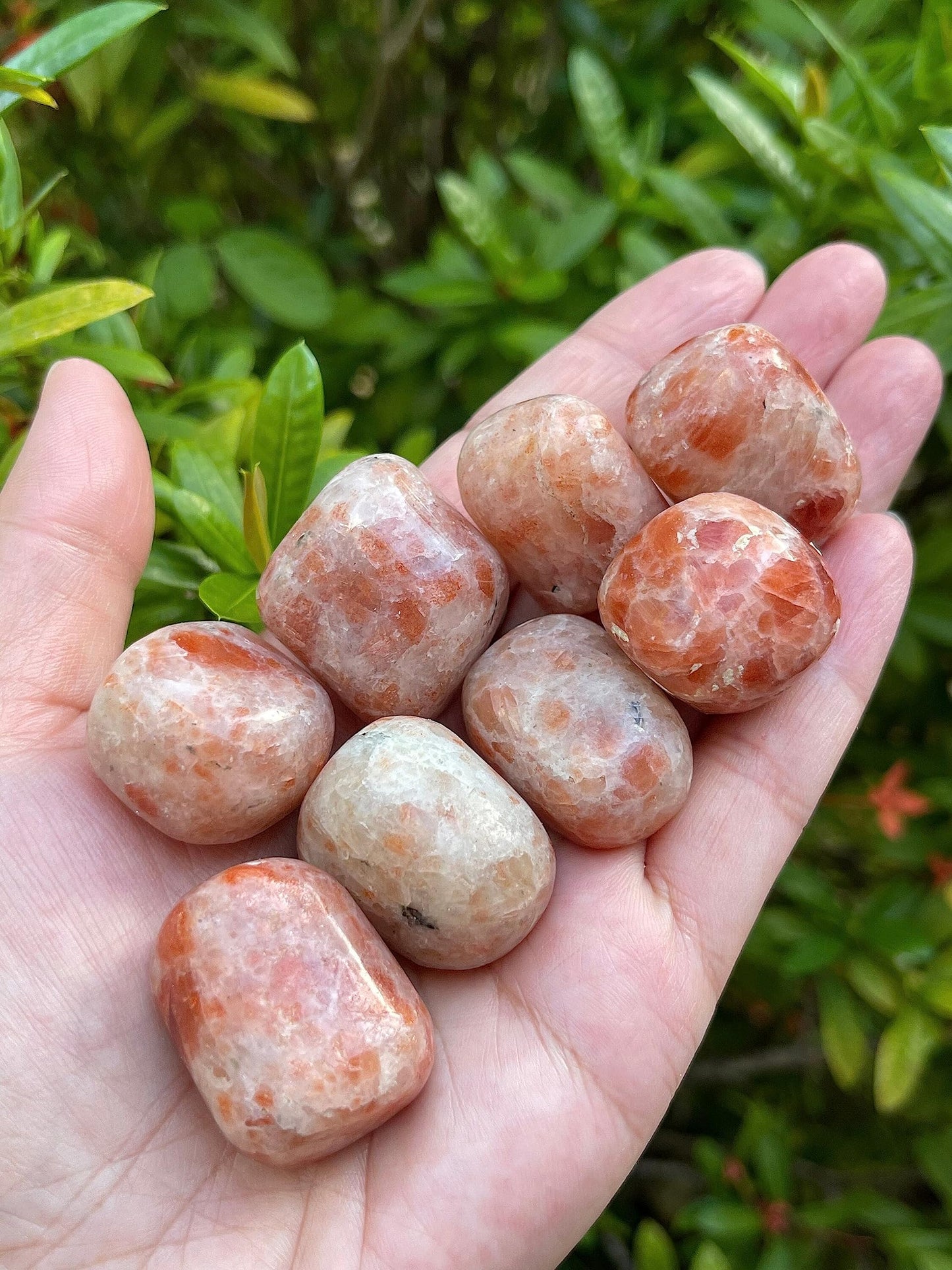GAF TREASURES 5 Pcs Sunstone Tumbled Stones, Polished Sunstone Gemstone, Sunstone Healing Crystals (Sunstone)