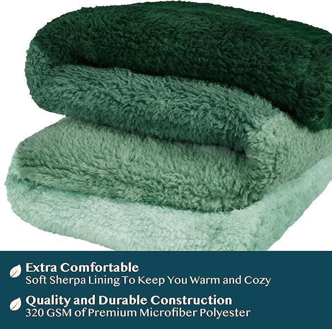 PAVILIA Fluffy Sherpa Throw Blanket Ombre | Gradient Plush, Soft, Fuzzy, Decorative Accent Throw Blanket for Couch Sofa Twin Bed | Cozy Warm Decorative Furry Faux Fur Blanket, 60x80 Inches Green