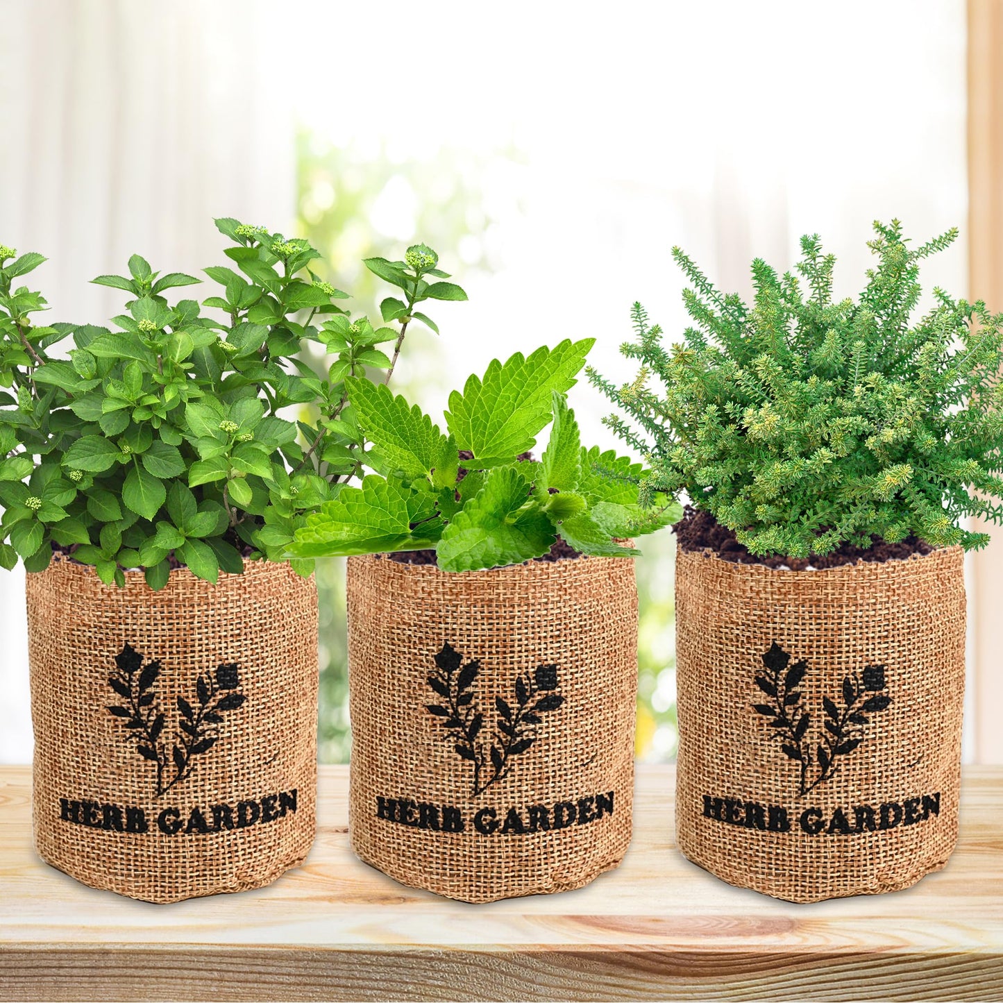 Indoor Herb Garden Starter Kit, Including A Complete Gardening Tools for Women Parents Gift