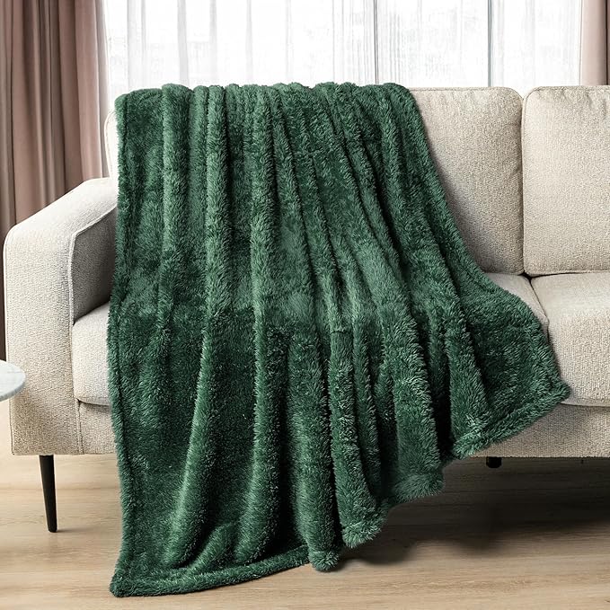 PAVILIA Sherpa Throw Blanket for Couch Sofa, Emerald Green Fluffy Warm Plush Blanket for Twin Bed, Cozy Super Soft Lightweight Throw, Fuzzy Decorative Blanket, All Season Home, 60x80