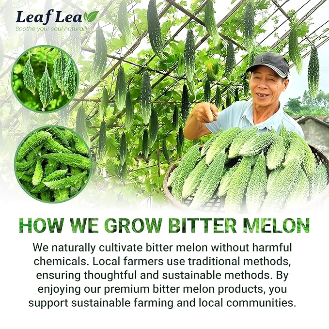 LeafLea 80 Bitter Melon Tea Bags, Premium Dried Momordica Charantia (Melon Amargo, Gohyah) Herbal Fruit Tea | Supports Wellness and Digestion | Caffeine-Free, Sugar-Free, Vegan, Pack of 2