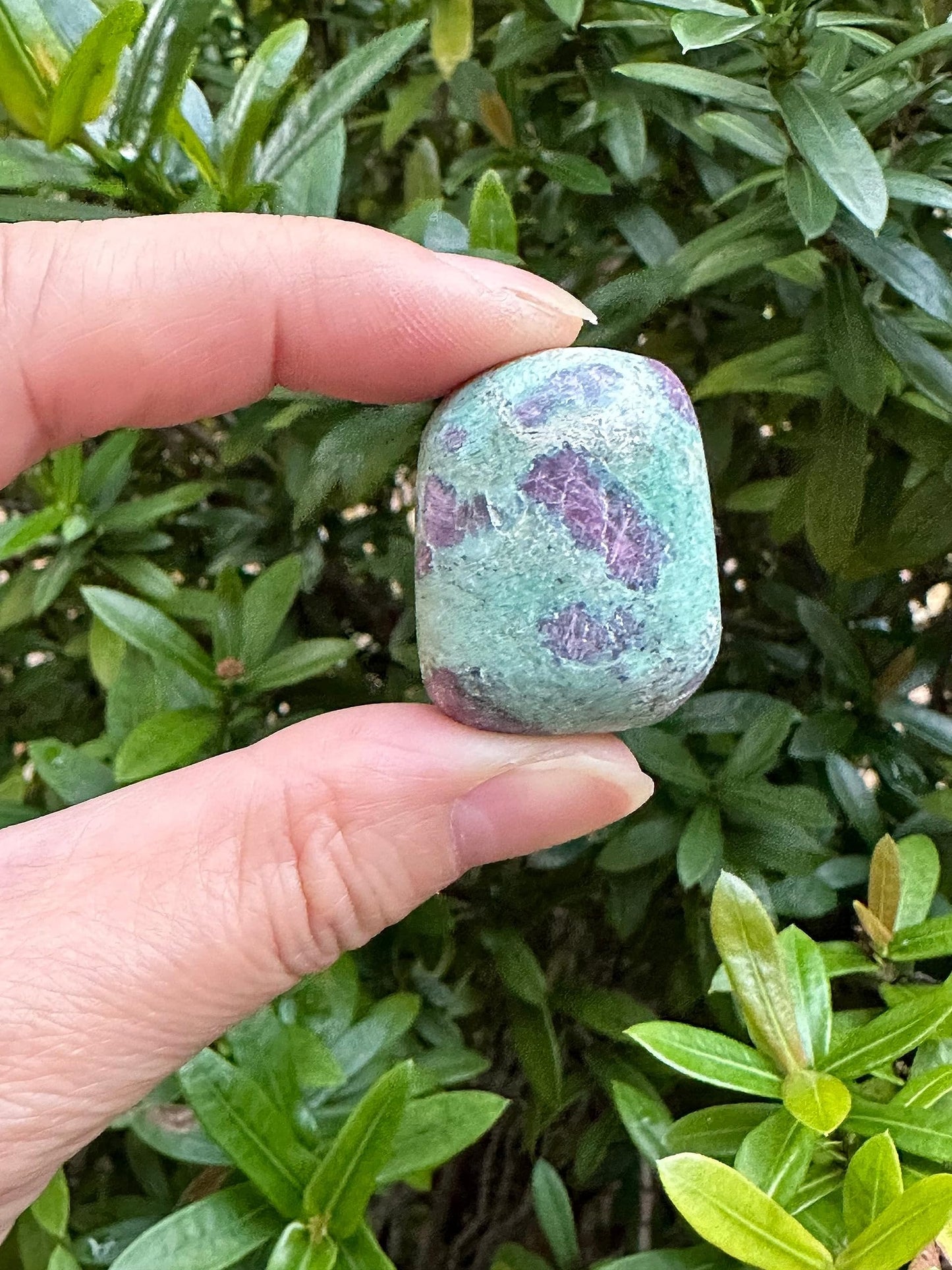 GAF TREASURES 5 Pcs Ruby Fuchsite Tumbled Stones, Polished Natural Gemstone, Healing Crystals