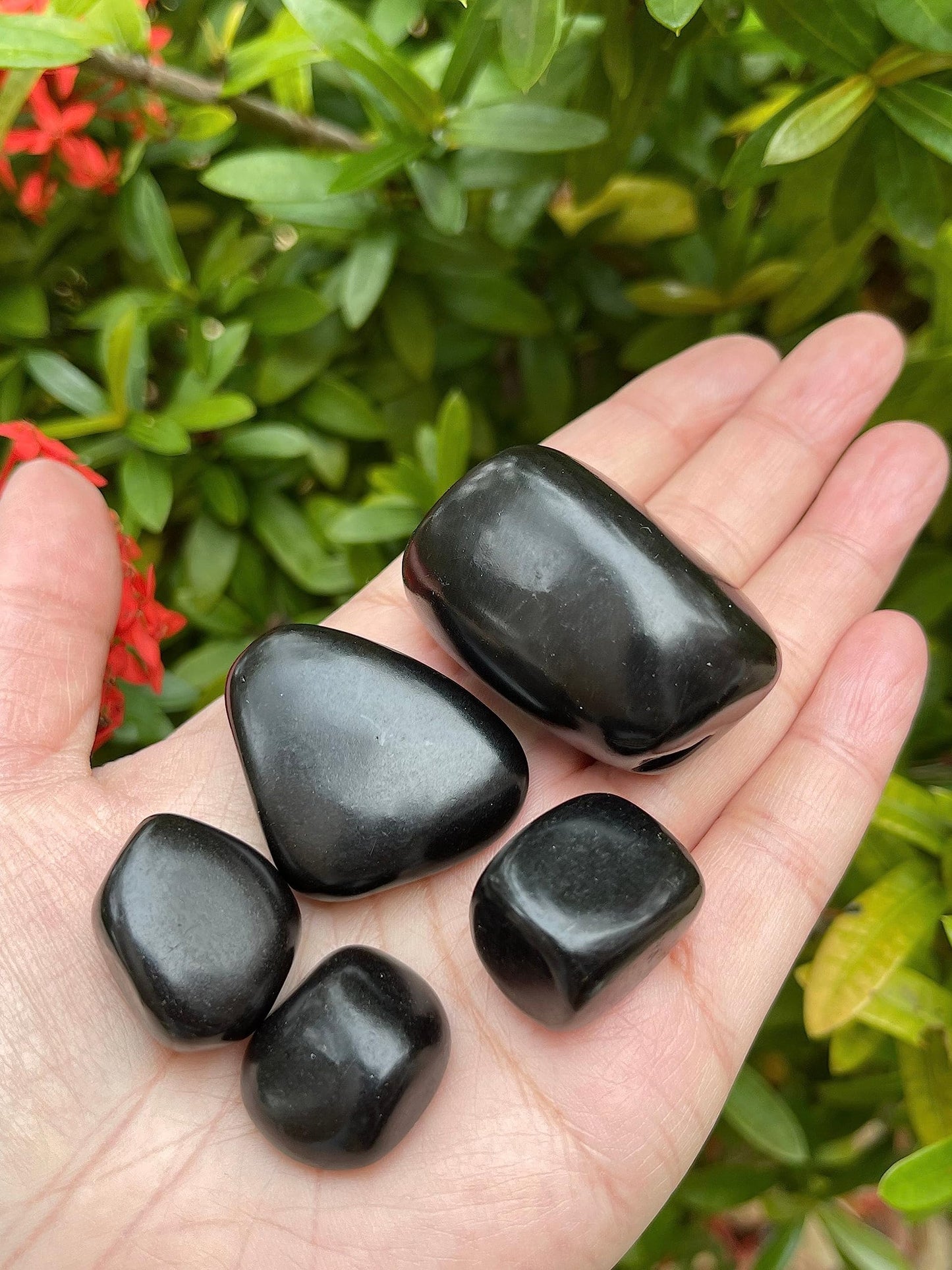 GAF TREASURES 5 Pcs Jet Tumbled Stones, Polished Jet Gemstone, Jet Healing Crystals (Jet)