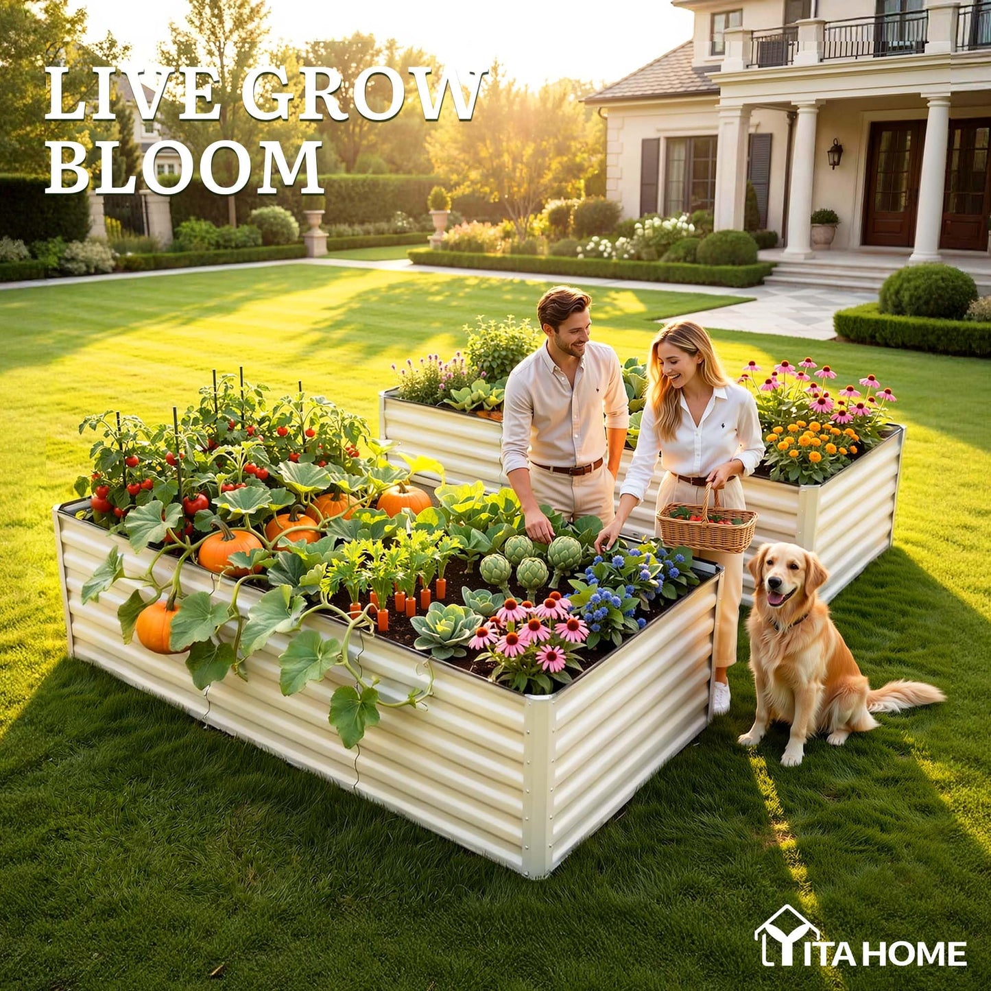YITAHOME 8x4x2ft 2pcs Large Raised Garden Bed Kit, Galvanized Metal Planter Box with Gloves & Safety Rubber, Outdoor Above Ground Planters for Plants Vegetables Flowers, Cream Yellow