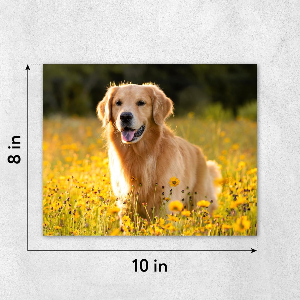 Custom Poster Print, 10x8, Upload Any Photos/Images, Personalized Photo Prints, DIY Your Own Poster, Photo to Poster Printing