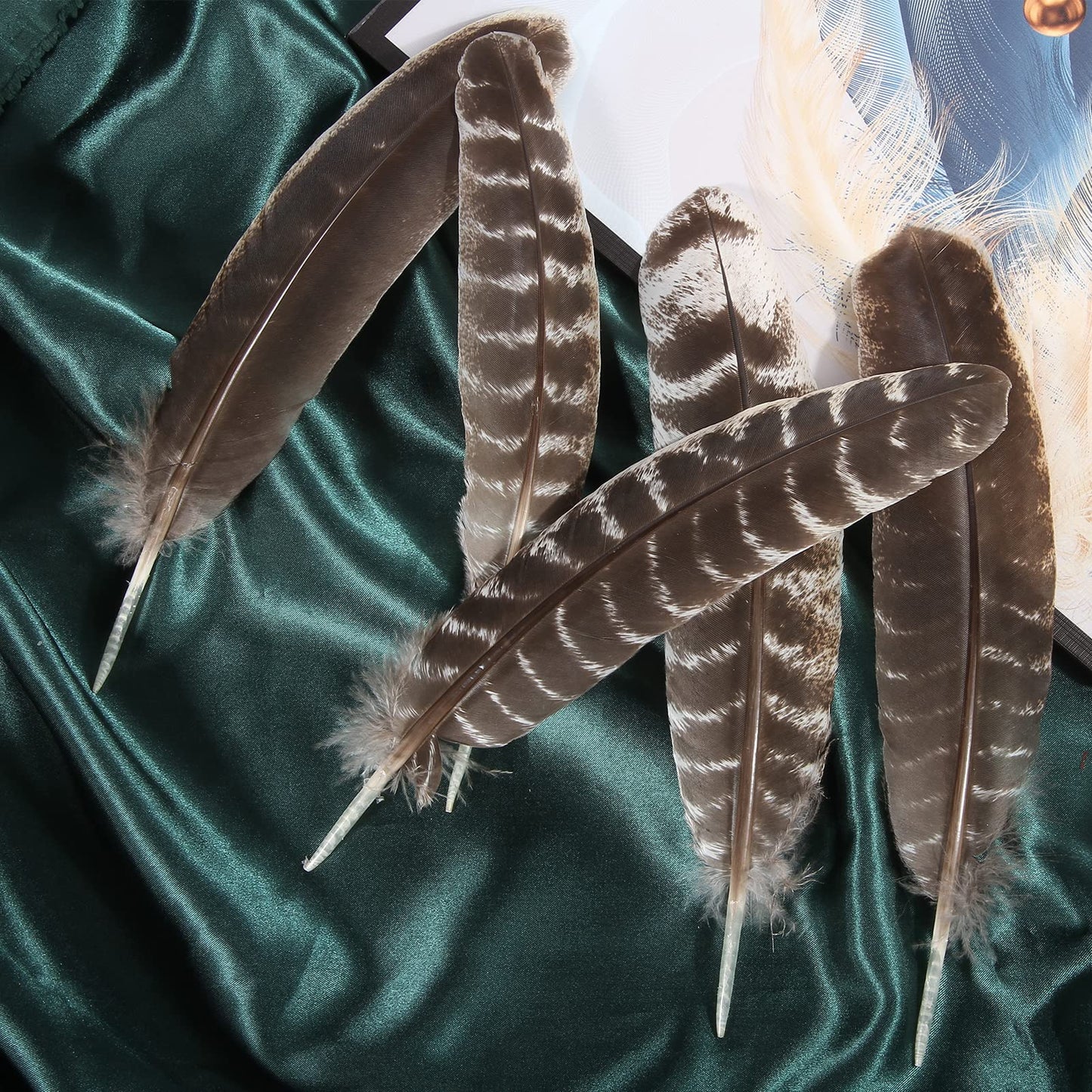 THARAHT 24pcs Natural Wild Turkey Wing Feathers Quill Bulk 8-10inch 20-25cm for DIY Crafts Project Collection Wedding Decoration Wild Turkey Tails Feather