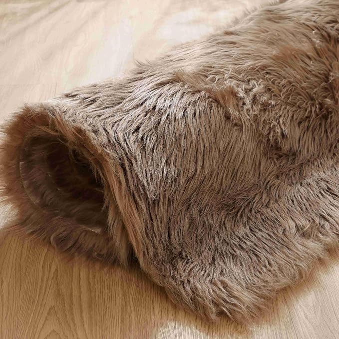 Goolela Beige Area Rug 6x9 Light Brown Fluffy Fuzzy Sheepskin Rug for Living Room Bedroom Shag Faux Fur Carpet Rectangle