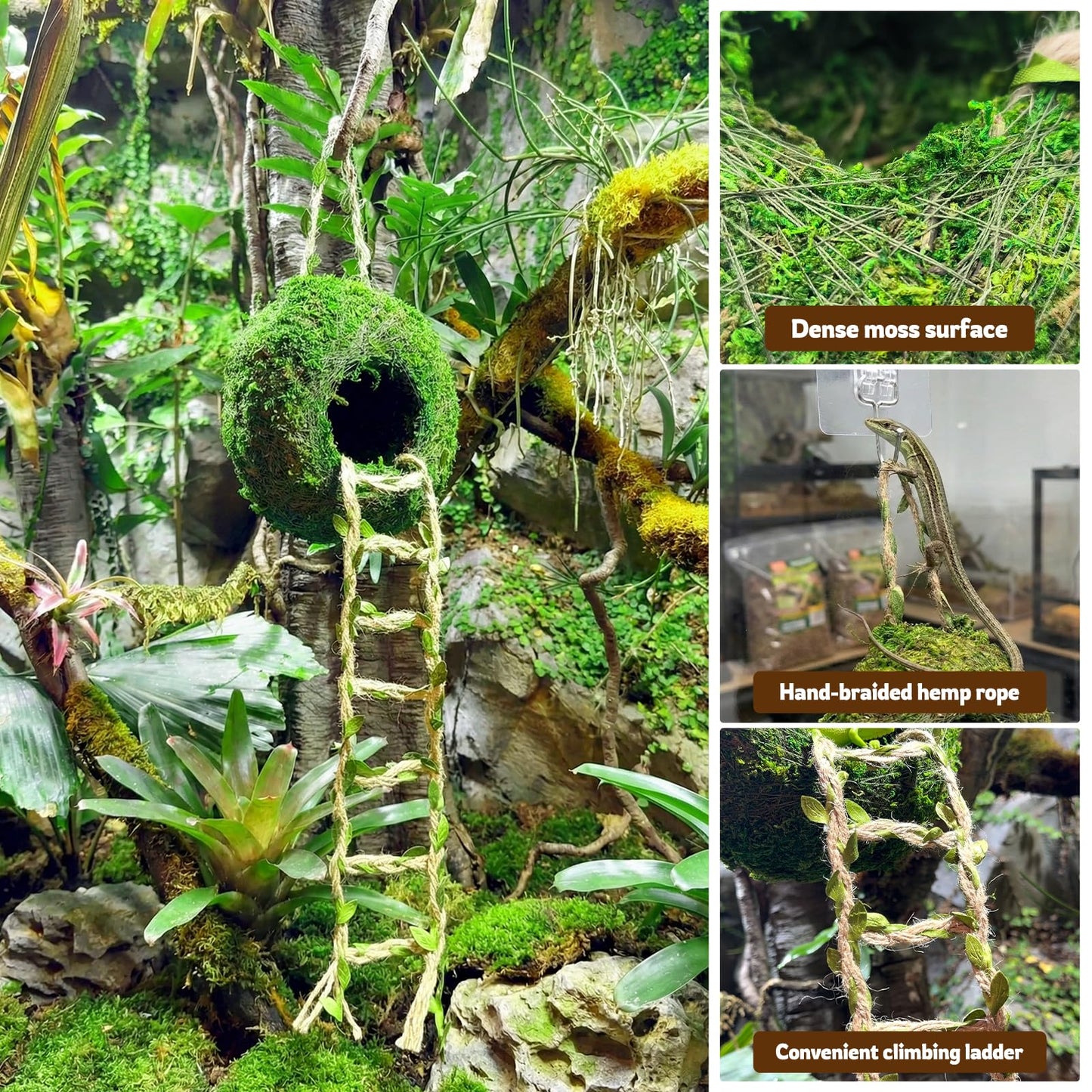 Moss Cave Hideout with Hanging Rope & Hemp Climbing Ladder – Natural Reptile Tank Decor Accessories for Crested Geckos, Chameleons, Tree Frogs, Leopard Geckos & Snakes. Terrarium & Vivarium Decor (4")
