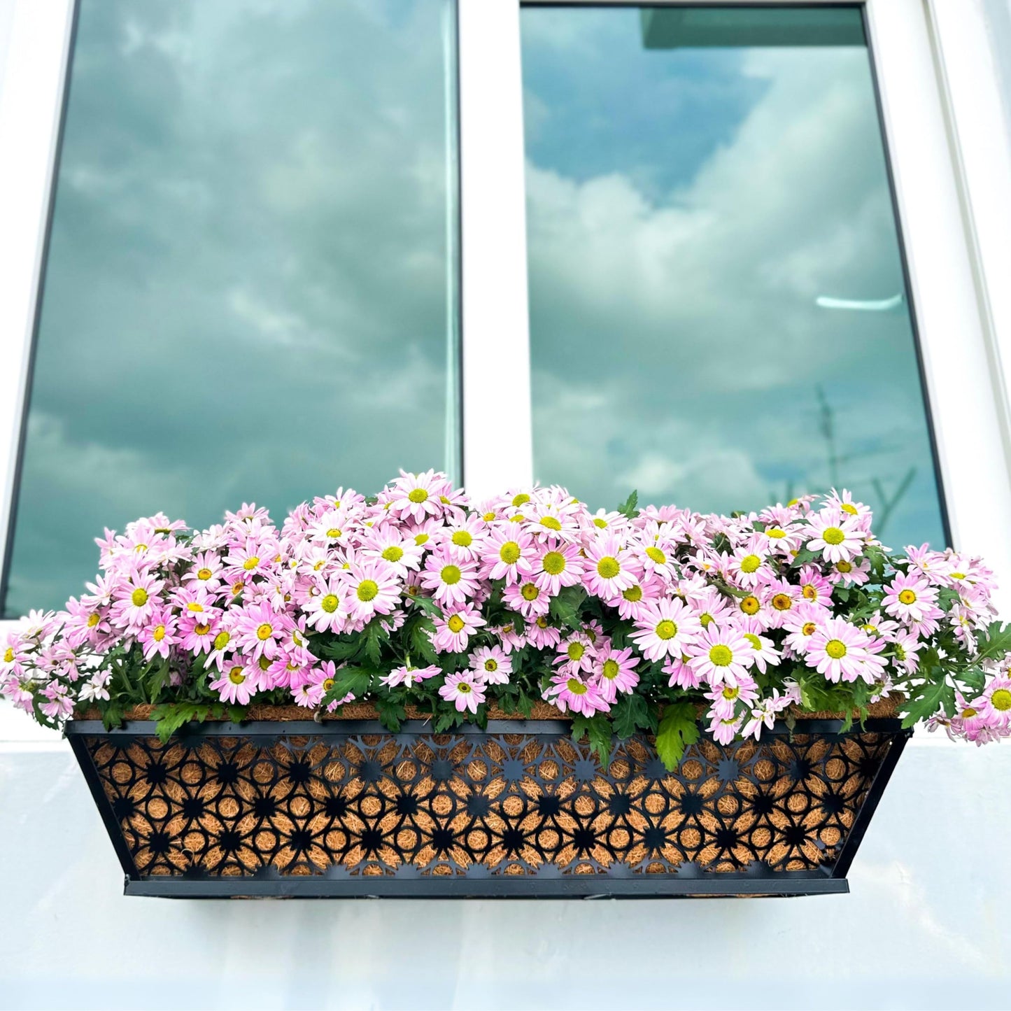 LaLaGreen Bundle - 6 Pack, 24 Inch Black Metal Rectangular Flower Pot Wall Planters with Coco Liner, Window Box Planter for Outdoor Plants, Modern Stylish Horse Trough Railing Balcony Patio Fence Deck