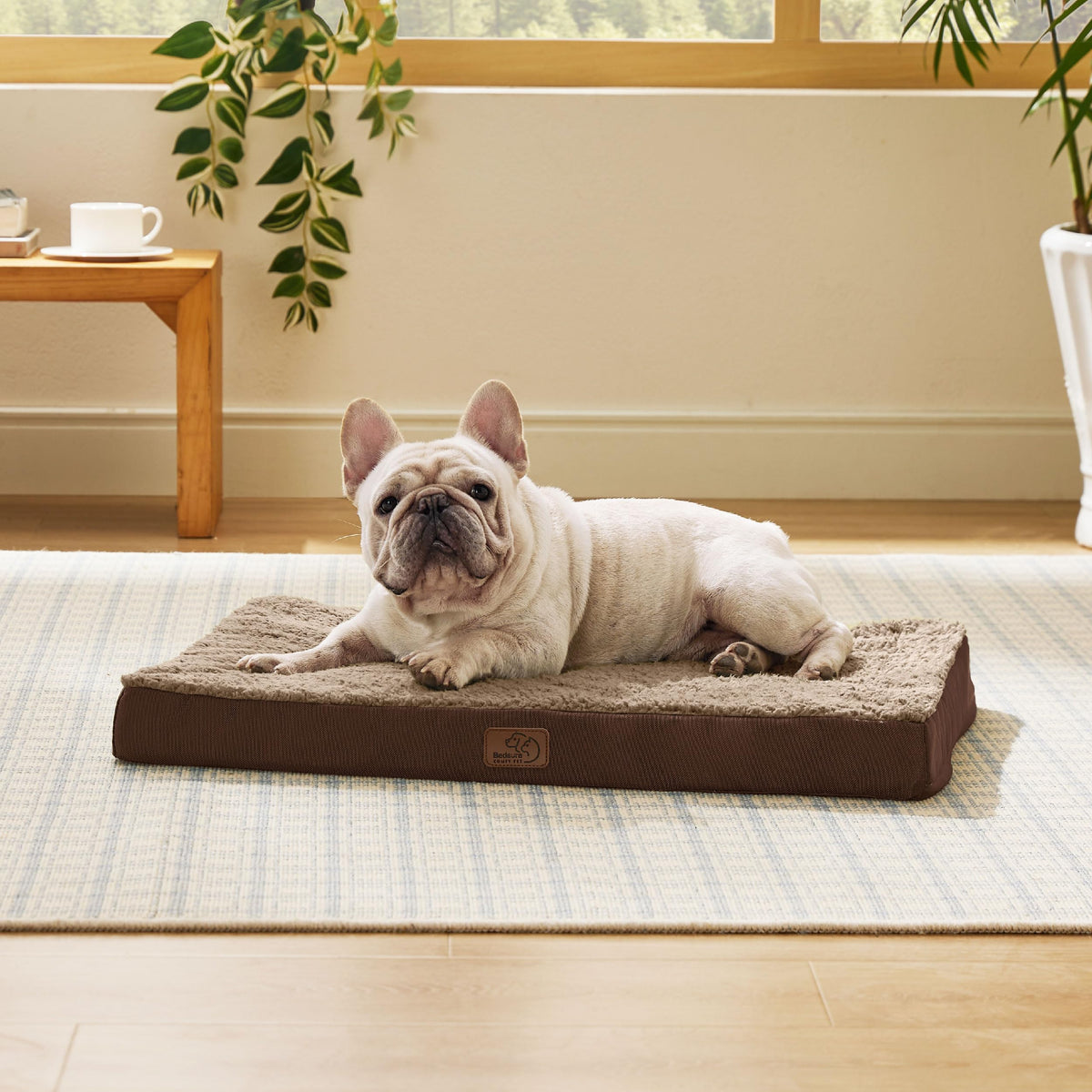 Bedsure Small Dog Bed, Cat Puppy Bed with Comfy Sherpa, 24"x16" Dark Grey