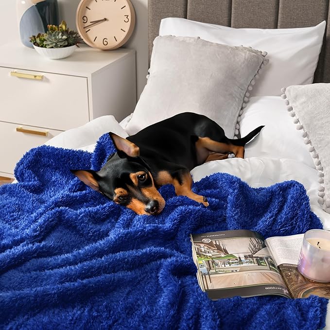 PAVILIA Sherpa Throw Blanket for Couch Sofa, Blue Fluffy Warm Plush Blanket for Bed, Cozy Super Soft Lightweight Throw, Fuzzy Decorative Blanket, All Season Home, 50x60