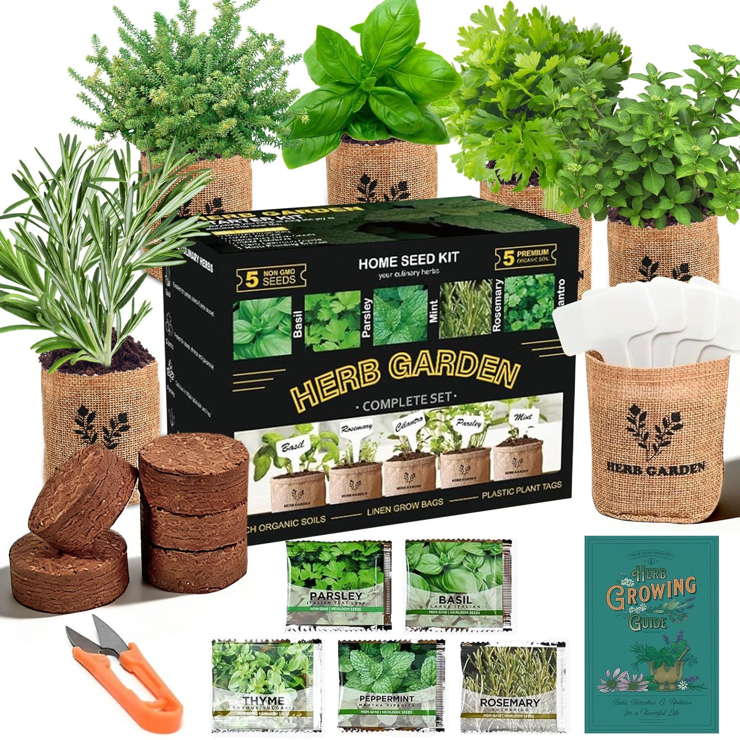 Meekear 5 Herb Indoor Starter Kit, Complete Planting Set for Kitchen Herb Garden DIY & Gift