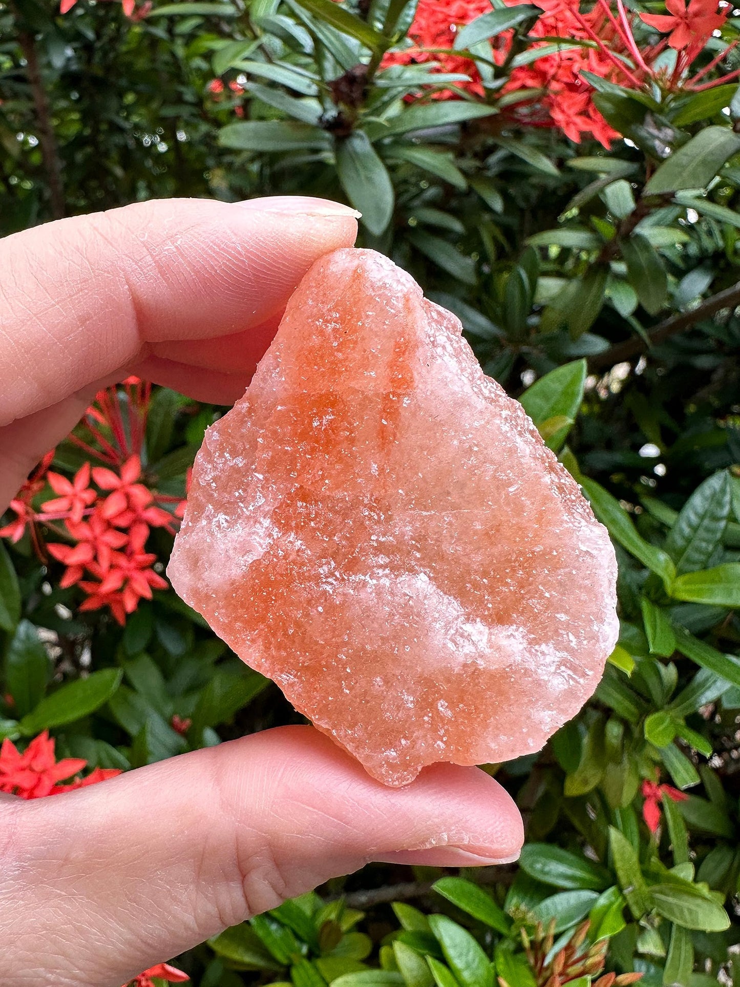 1 Pound Natural Himalayan Salt Chunks, Large Himalayan Salt Rough Crystals, Chunky Crystals, Pink Sea Salt, Crystal Rocks