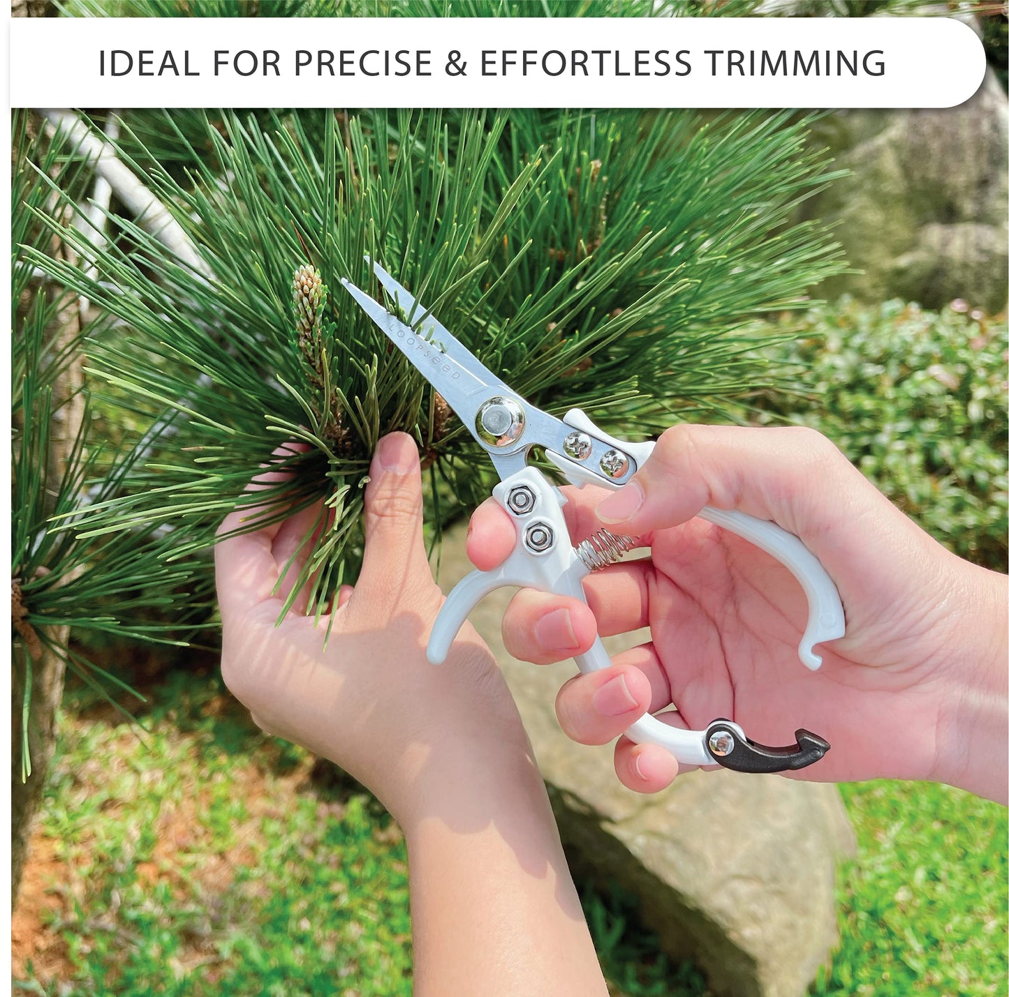 LOOPSEED Plant Pruning Shears with Vegan Leather Sheath Garden Trimming Scissors with Belt Holster Bonsai Trimmers Herb Snips Flower Clippers Garden Tools 2 Piece Bundle (White & Black)