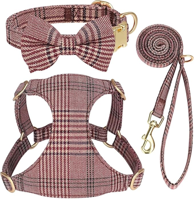 Beirui Cute Extra Small Dog Harness and Leash Set, Gray,XXS,Chest 12-14"