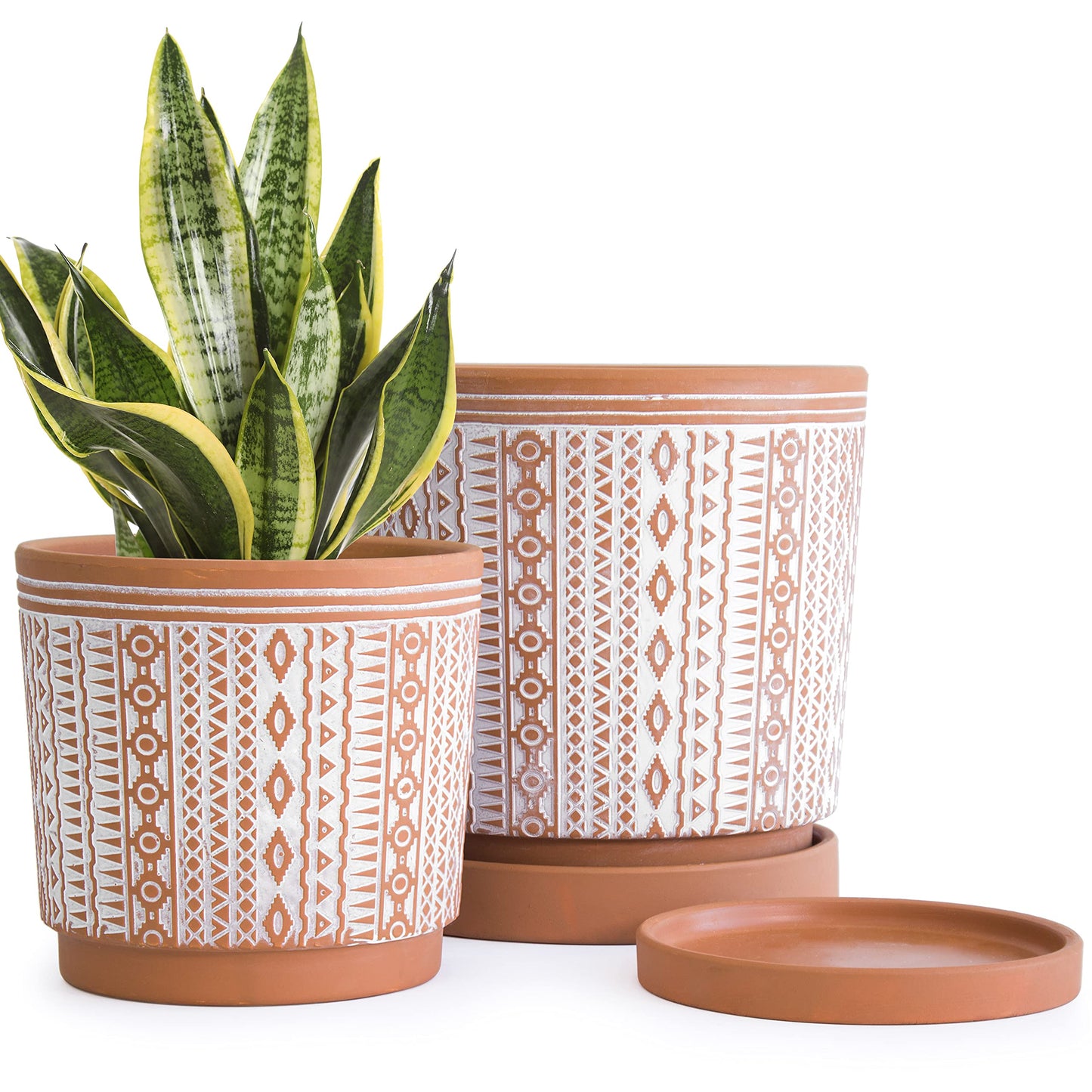 D'vine Dev Set of 2 Terracotta Pots, 6.5 Inch & 8.2 Inch, Planter Pots for Plants with Drainage Holes and Saucers, Terracotta/White, Medium, 34-958-A-1