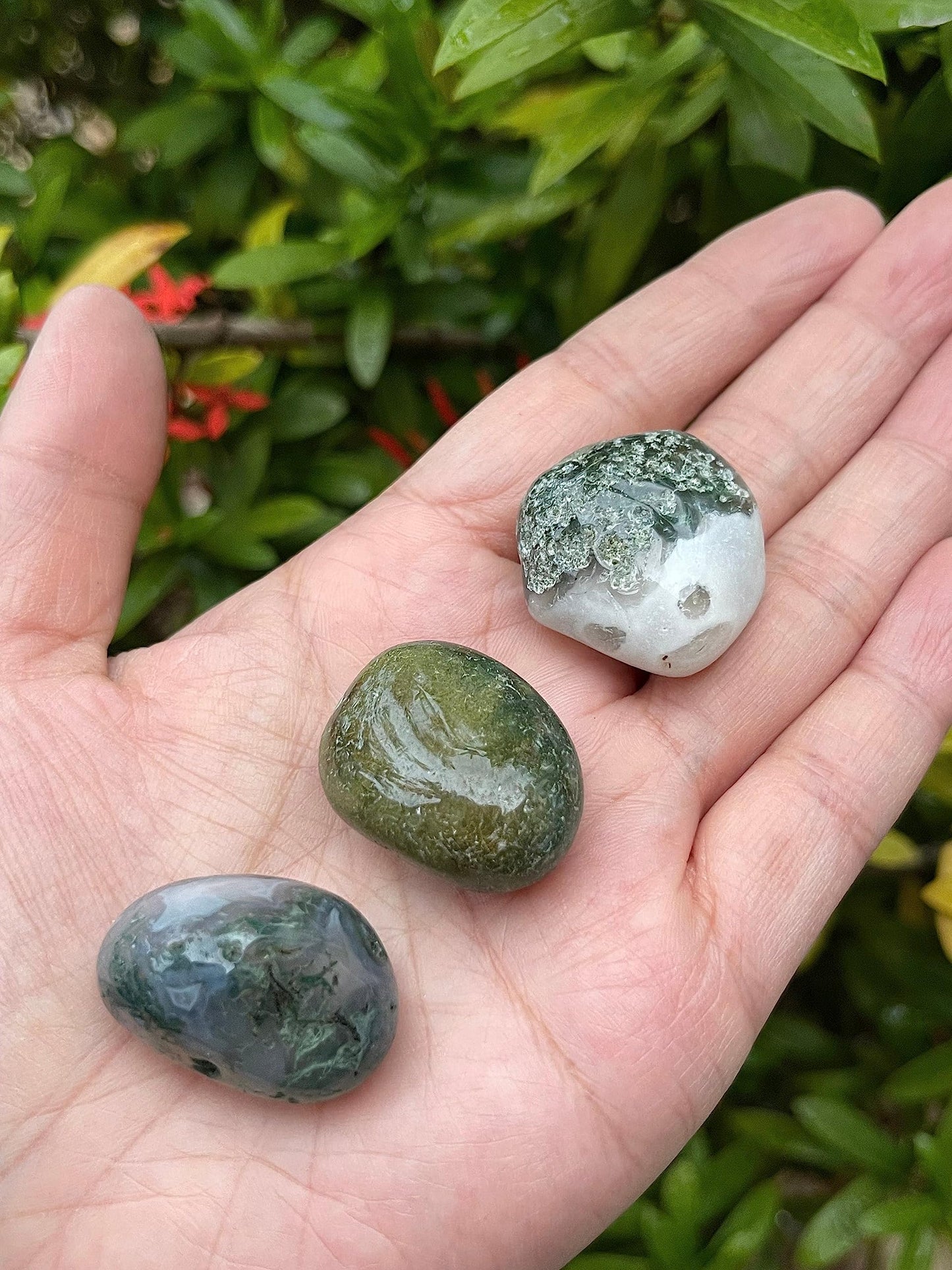 GAF TREASURES 5 Pcs Moss Agate Tumbled Stones, Polished Natural Moss Agate Gemstone, Moss Agate Healing Crystals (Moss Agate)