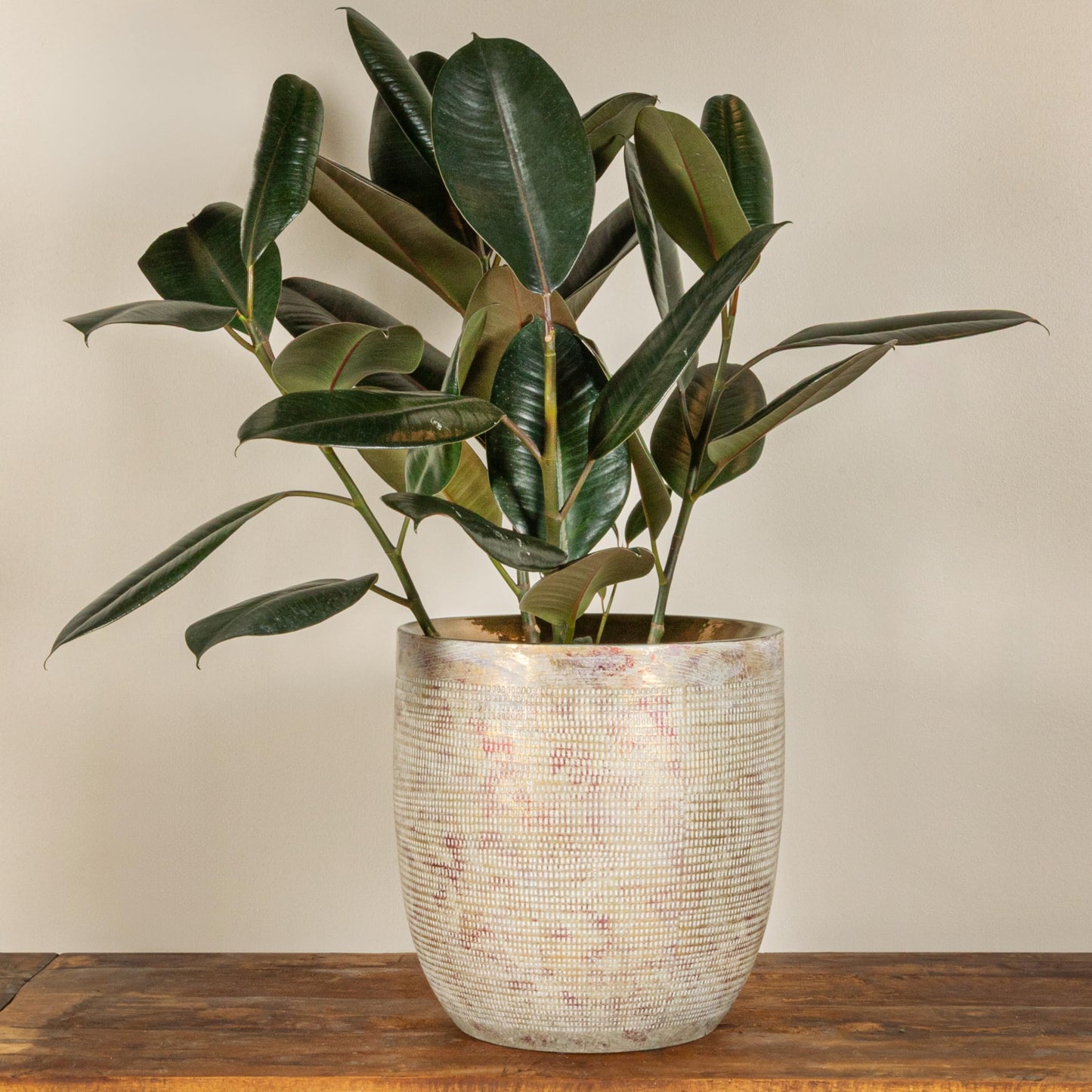 Creative Co-Op Embossed Textured Stoneware Planter, Metallic Gold