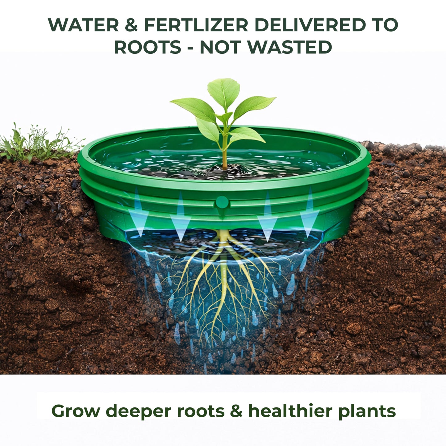 7 inch Solid Planting Grow Rings | 6 Pack Green | One-Piece Design for Deep Root Watering Veggies, Herbs & Flowers | Mulch & Soil Barrier | Deter Slugs and Cutworms | Heavy Duty | Made in USA