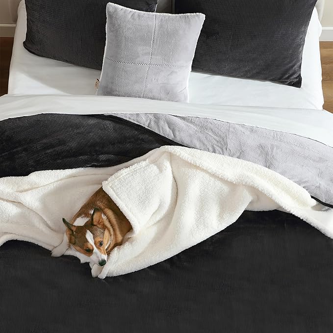 UGG Remina Twin Comforter Set 4 Piece Bed in a Bag with Throw Blanket, Decorative Pillow, Sham, and Reversible Comforter Hypoallergenic Washable College Dorm Bedding, Twin XL, Charcoal Grey