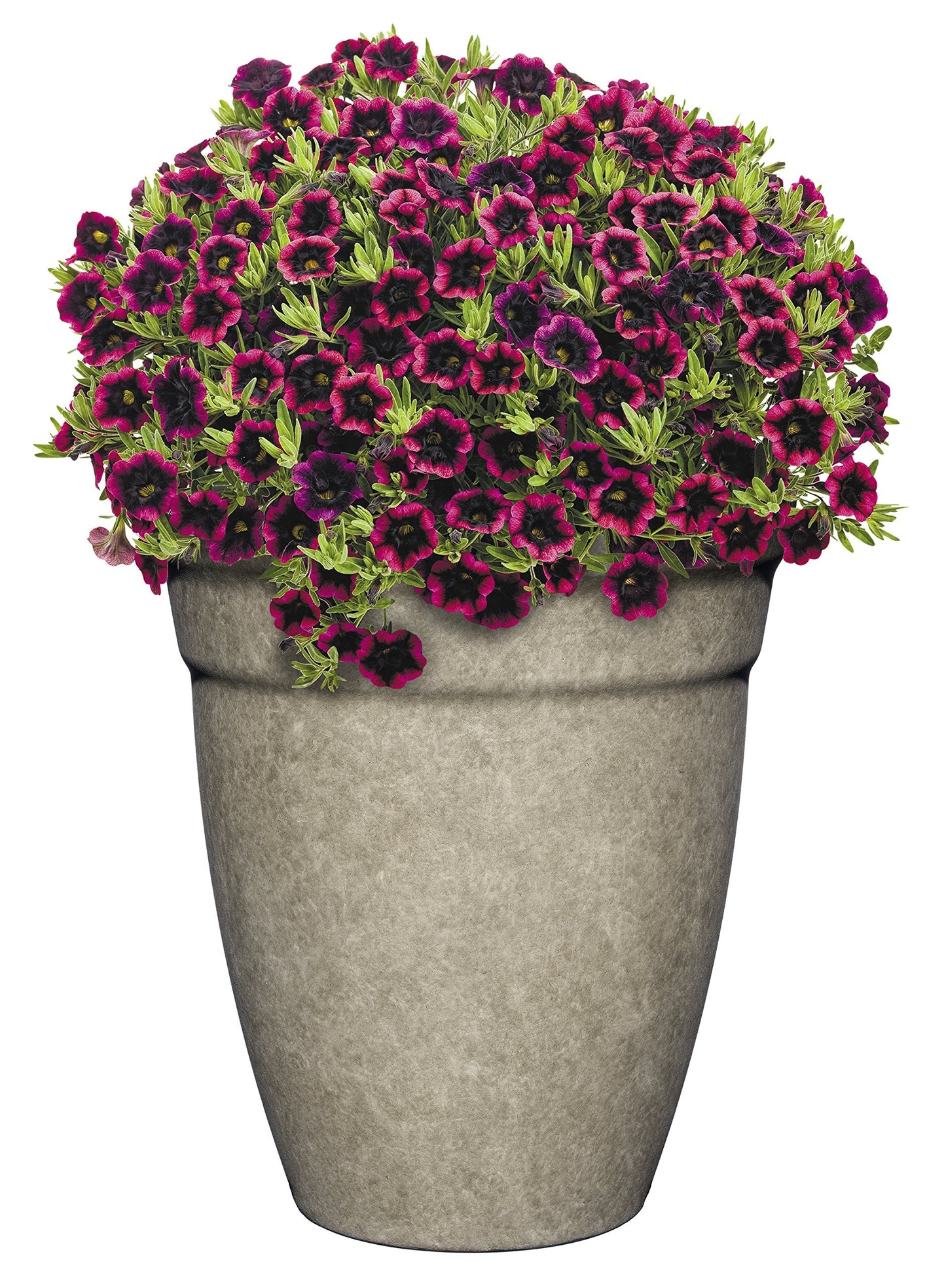 Classic Home and Garden Premiere Collection Planter, Allaire 12", Cloud Gray