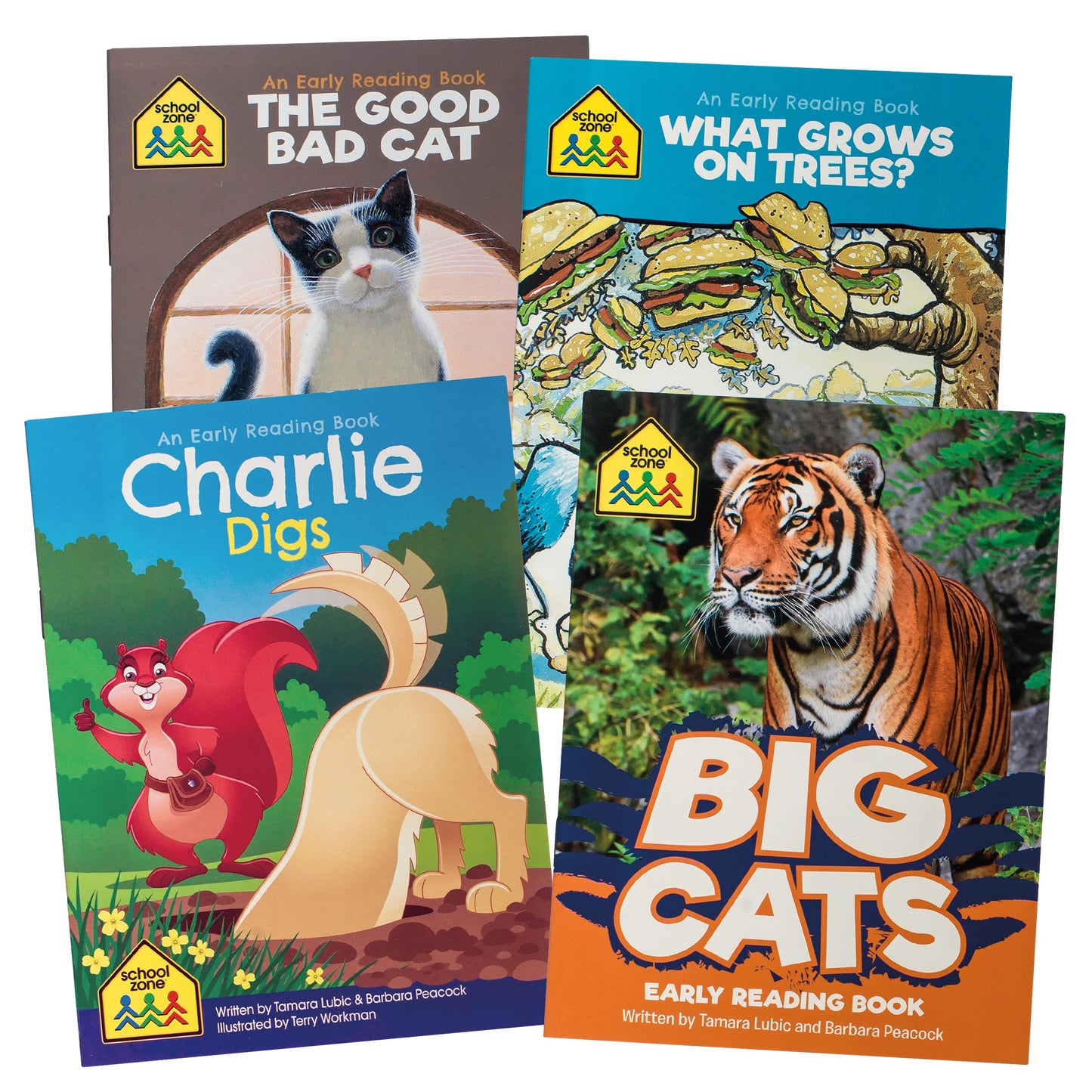 School Zone Preschool Learning Kit: Workbooks, Flash Cards, Early Reader Books & Educational Games Set, Reading, Writing, Math, Homeschool Curriculum, Kindergarten Readiness, Ages 3+