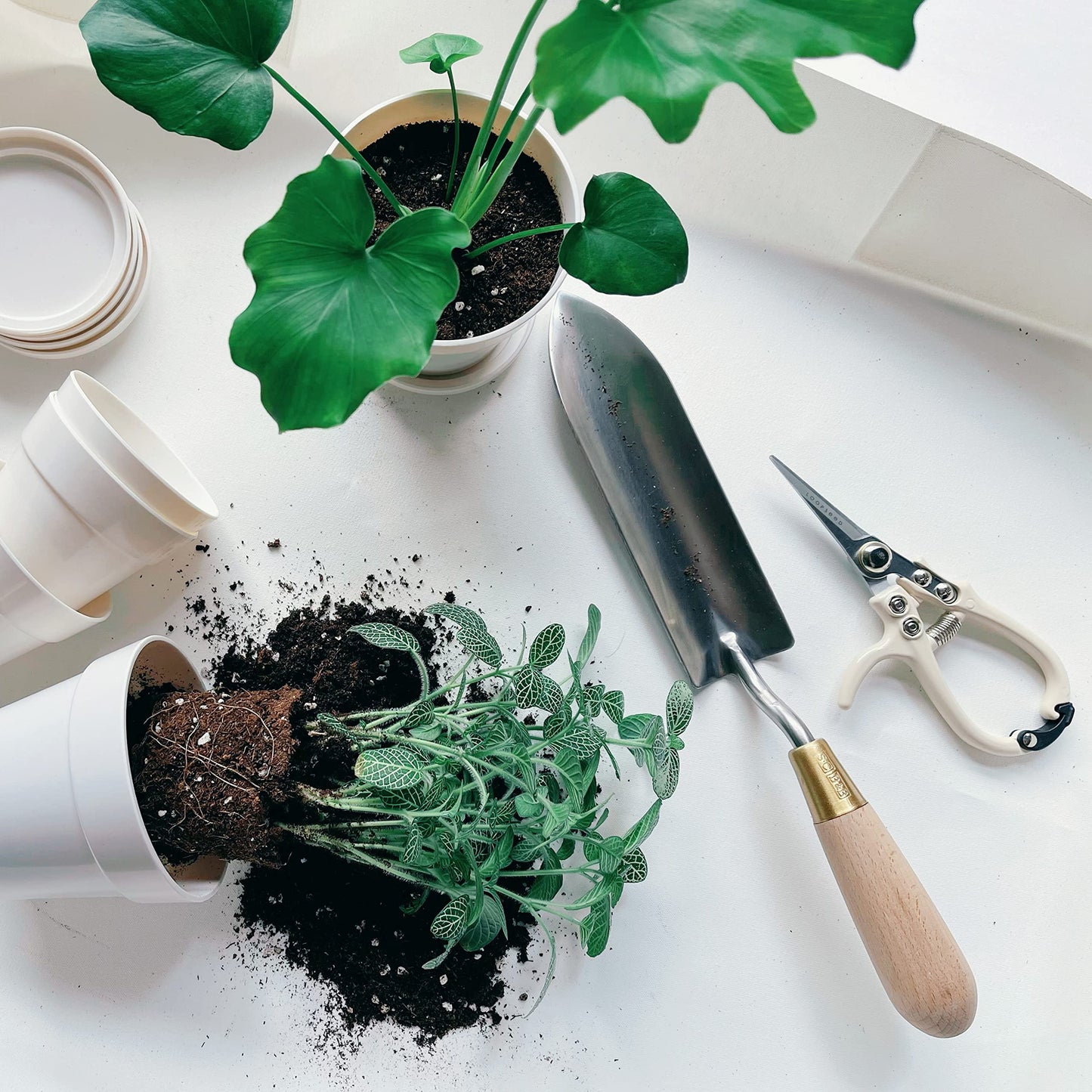 LOOPSEED Plant Pruning Shears with Vegan Leather Sheath Garden Trimming Scissors with Belt Holster Bonsai Trimmers Herb Snips Flower Clippers Modern Tools 2 Piece Bundle (Cream Pruner Beige Sheath)