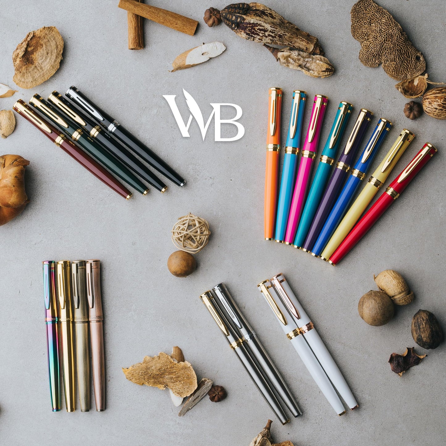 Wordsworth & Black Fountain Pen Set, Medium Nib, Includes 24 Ink Cartridges and Ink Refill Converter, Gift Case, Journaling, Calligraphy, Smooth Writing Pens [Silver Gold], Perfect for Men and Women