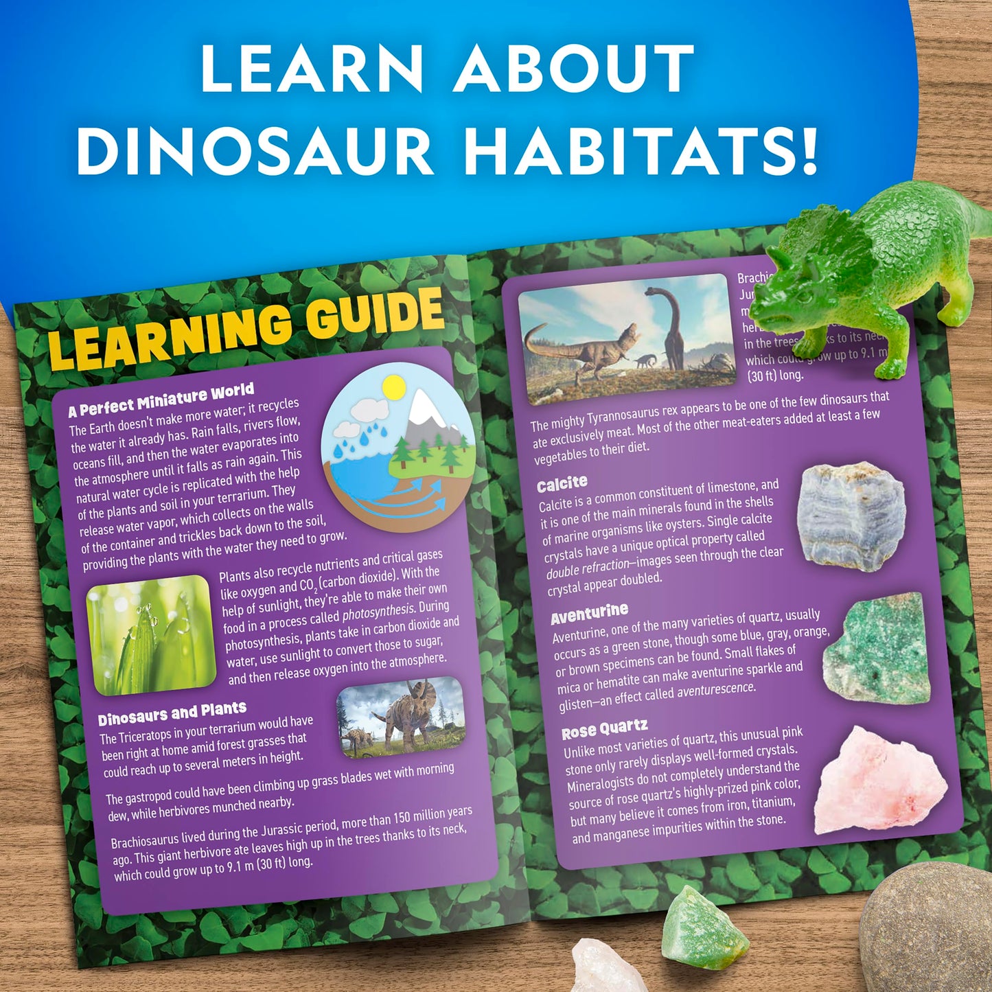 National Geographic Dinosaur Terrarium Kit for Kids – Multicolor Light-Up Terrarium, Build a Dino Habitat with Real Plants & More, Science Kit, Dinosaur Toys for Kids
