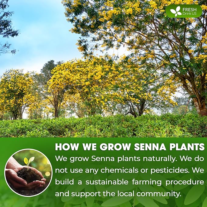 FRESHDRINKUS, Premium 32oz Senna Leaf Powder, 100% Natural and Pure from Senna Leaves, No Additives, No Gluten, No Sugar, Vegan