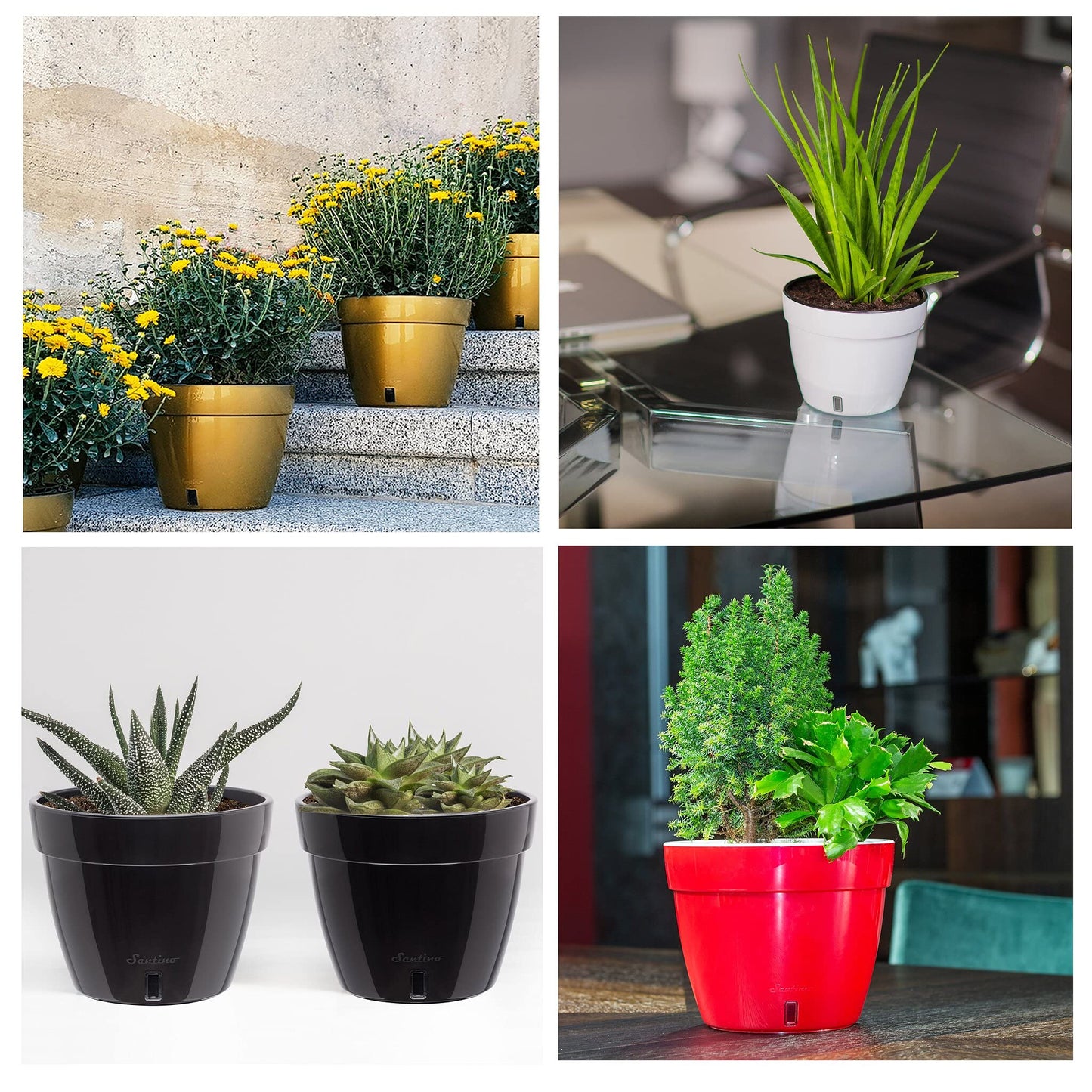 Santino ASTI 9.2 Inch Self Watering Planter Menthol/White for Indoor Plants - Premium Quality Modern Plastic Pot w/Water Level Indicator for All House Herbs, Plants, African Violets and Dahlias