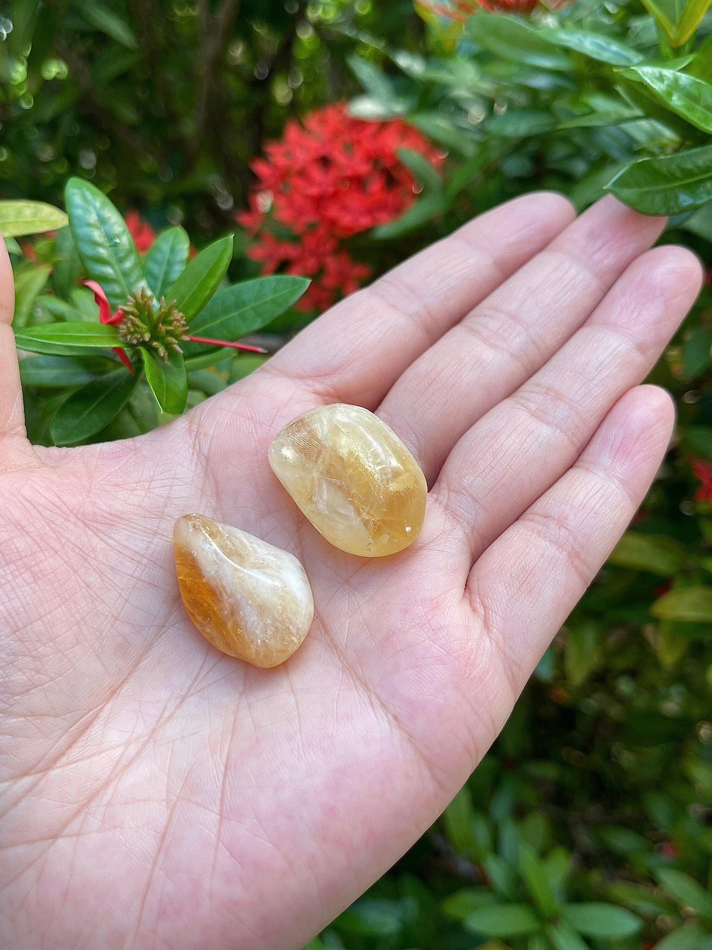 GAF TREASURES 5 Pcs Citrine Tumbled Stones, Polished Citrine Gemstone, Citrine Healing Crystals (Citrine)