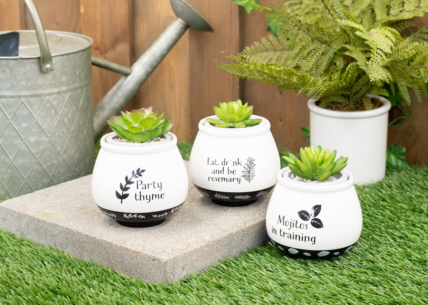 Napco Assorted Witty Herb Cache 3.5 Inch White and Black Ceramic Planters (Set of 3)