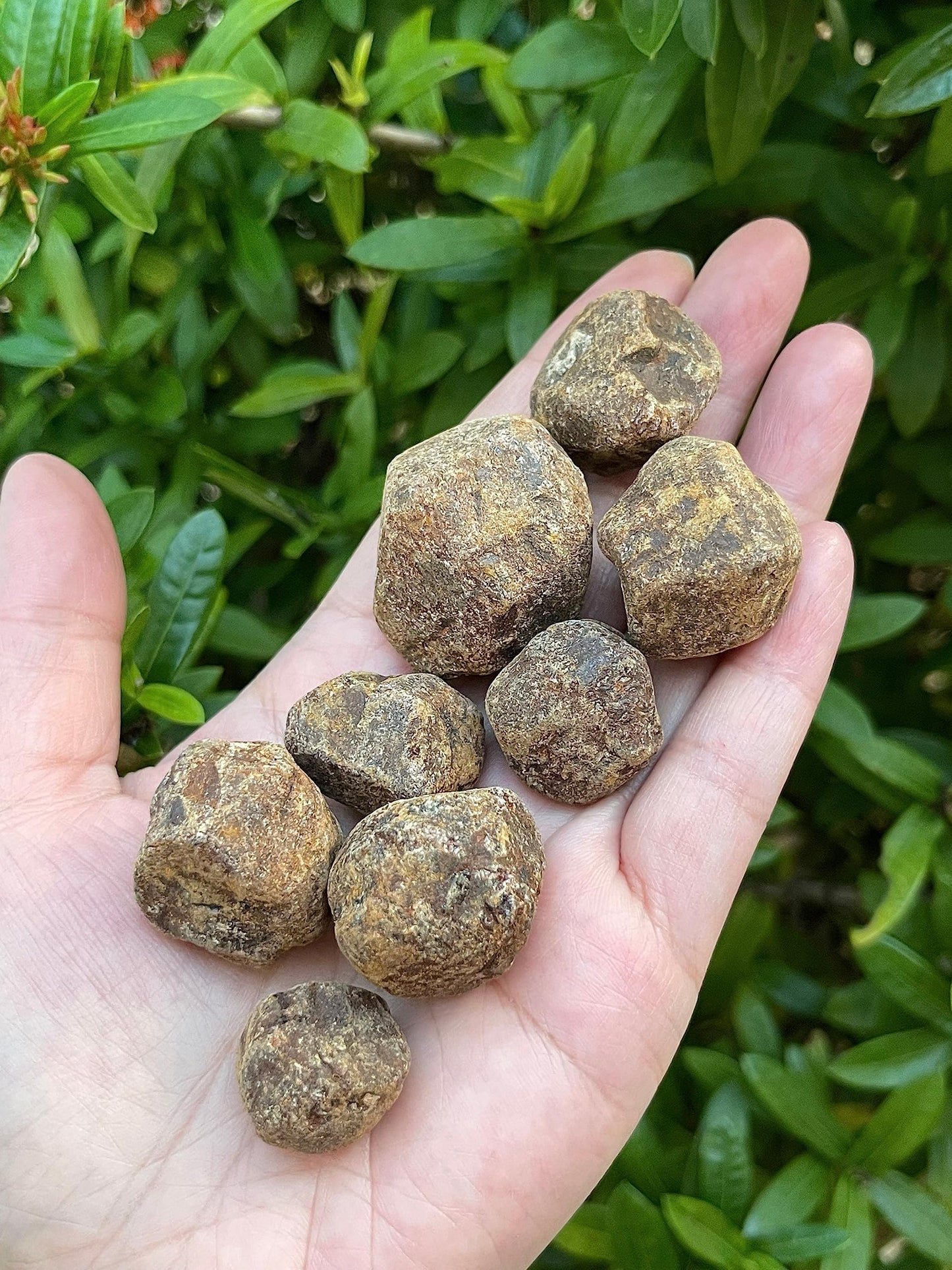 GAF TREASURES Wholesale Raw Garnet Crystals, Natural Garnet Stone, Natural Rough Garnet Crystals, Garnet Rough, Garnet Healing Crystals (Garnet, 0.25 Pound)