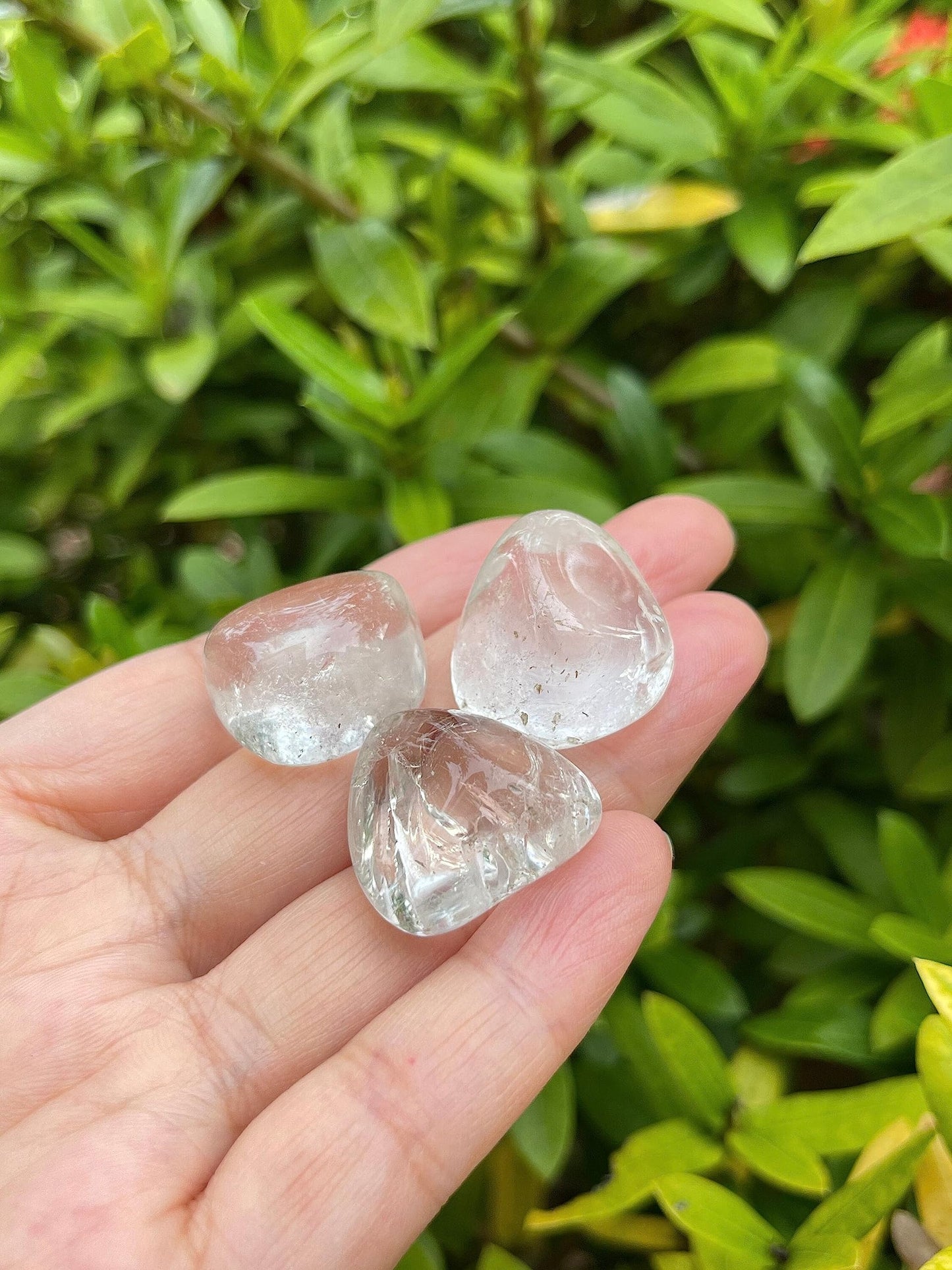 GAF TREASURES 5 Pcs Clear Quartz Tumbled Stones, Polished Natural Clear Quartz Gemstone, Clear Quartz Healing Crystals (Clear Quartz)